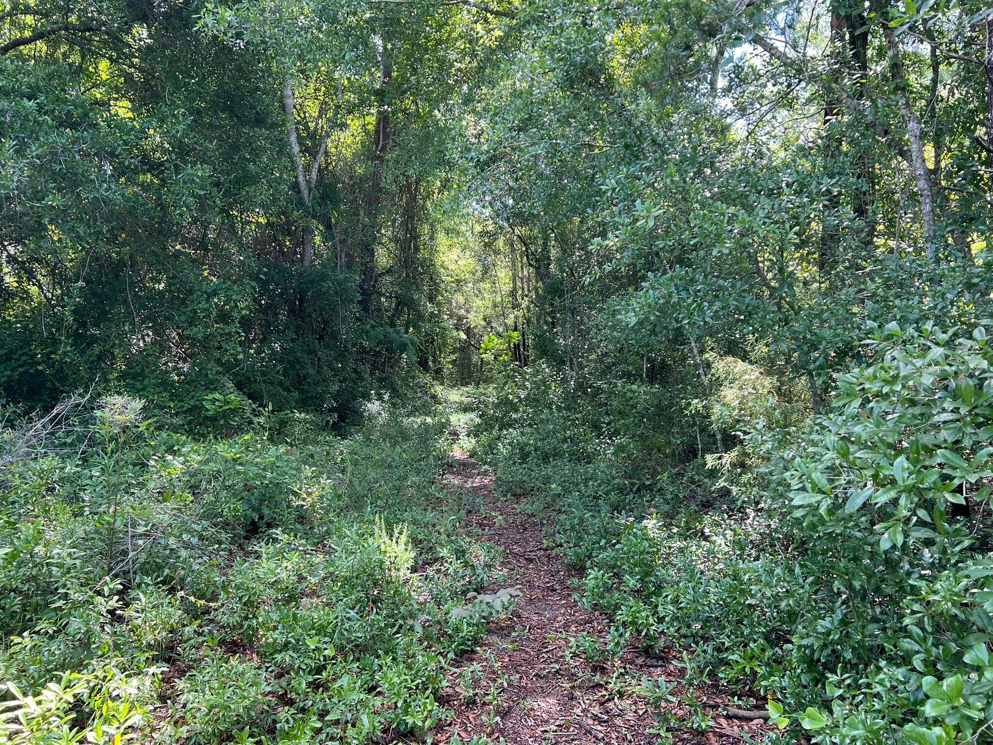 CHULA VISTA HEIGHTS - Land