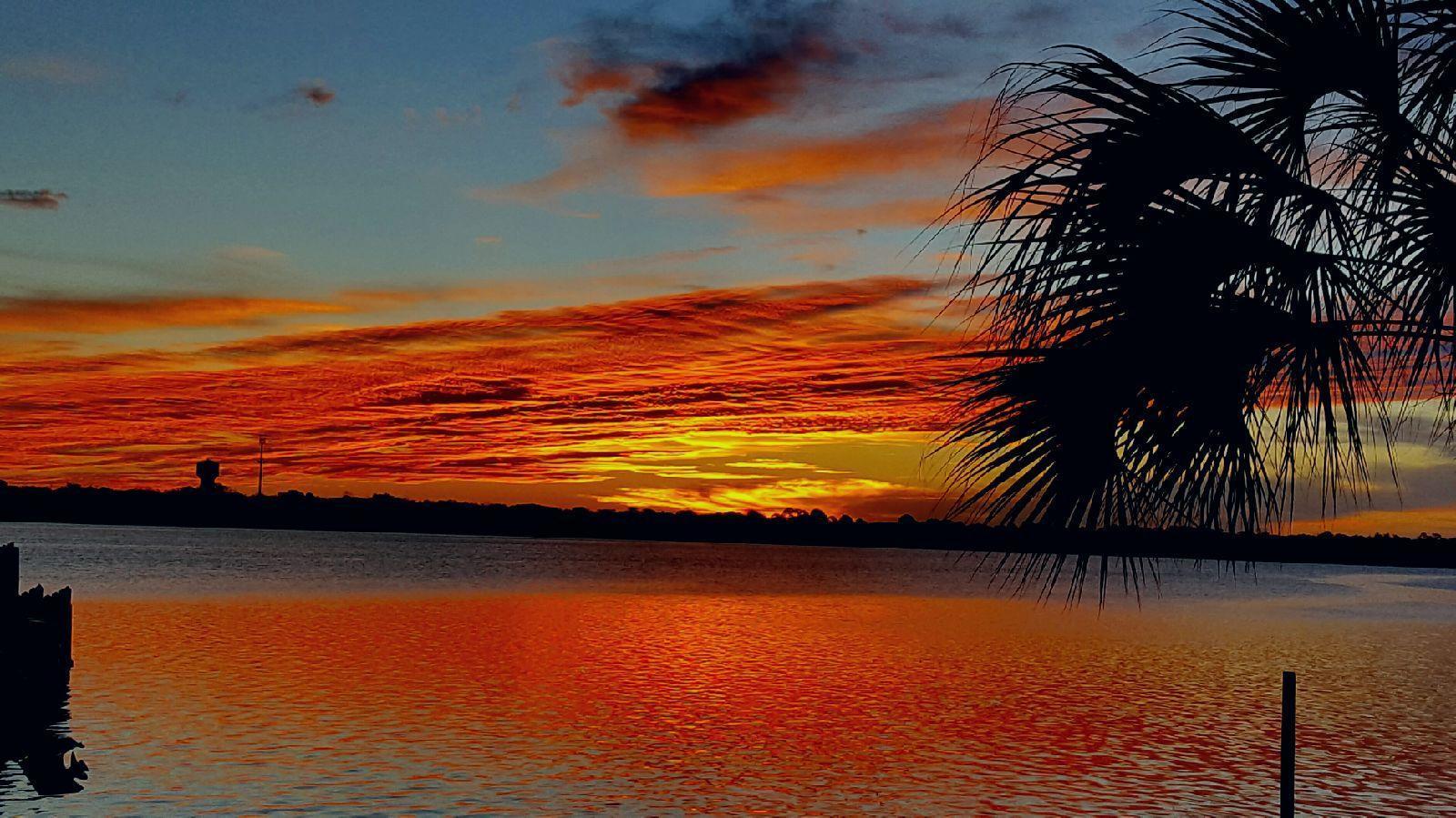 PALM HARBOR MARINA - Residential