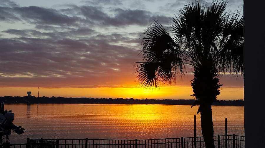 PALM HARBOR MARINA - Residential