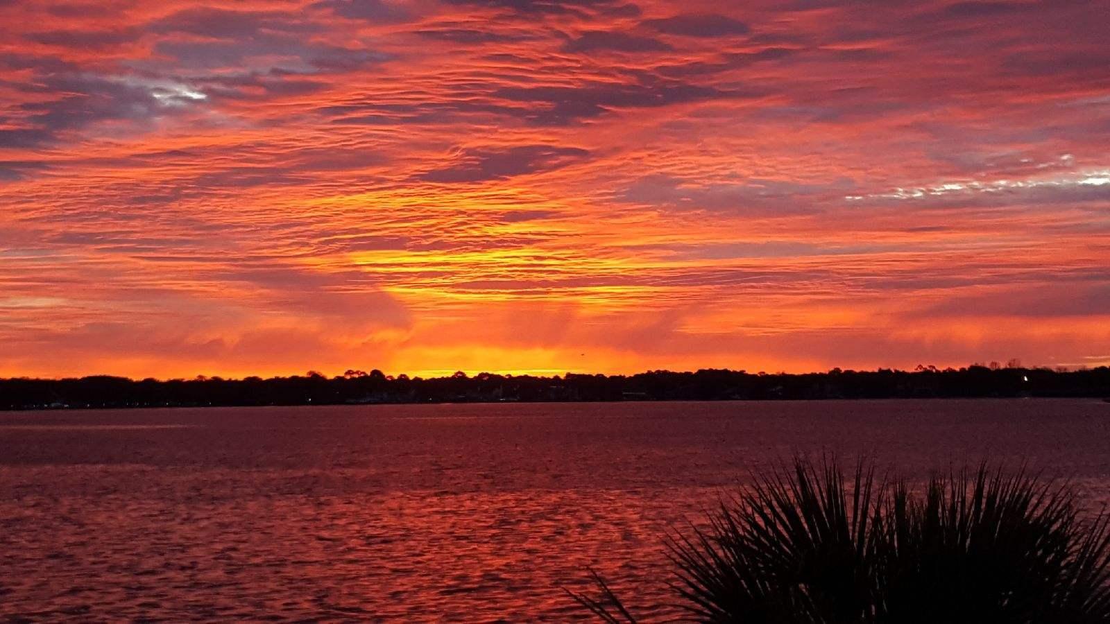 PALM HARBOR MARINA - Residential