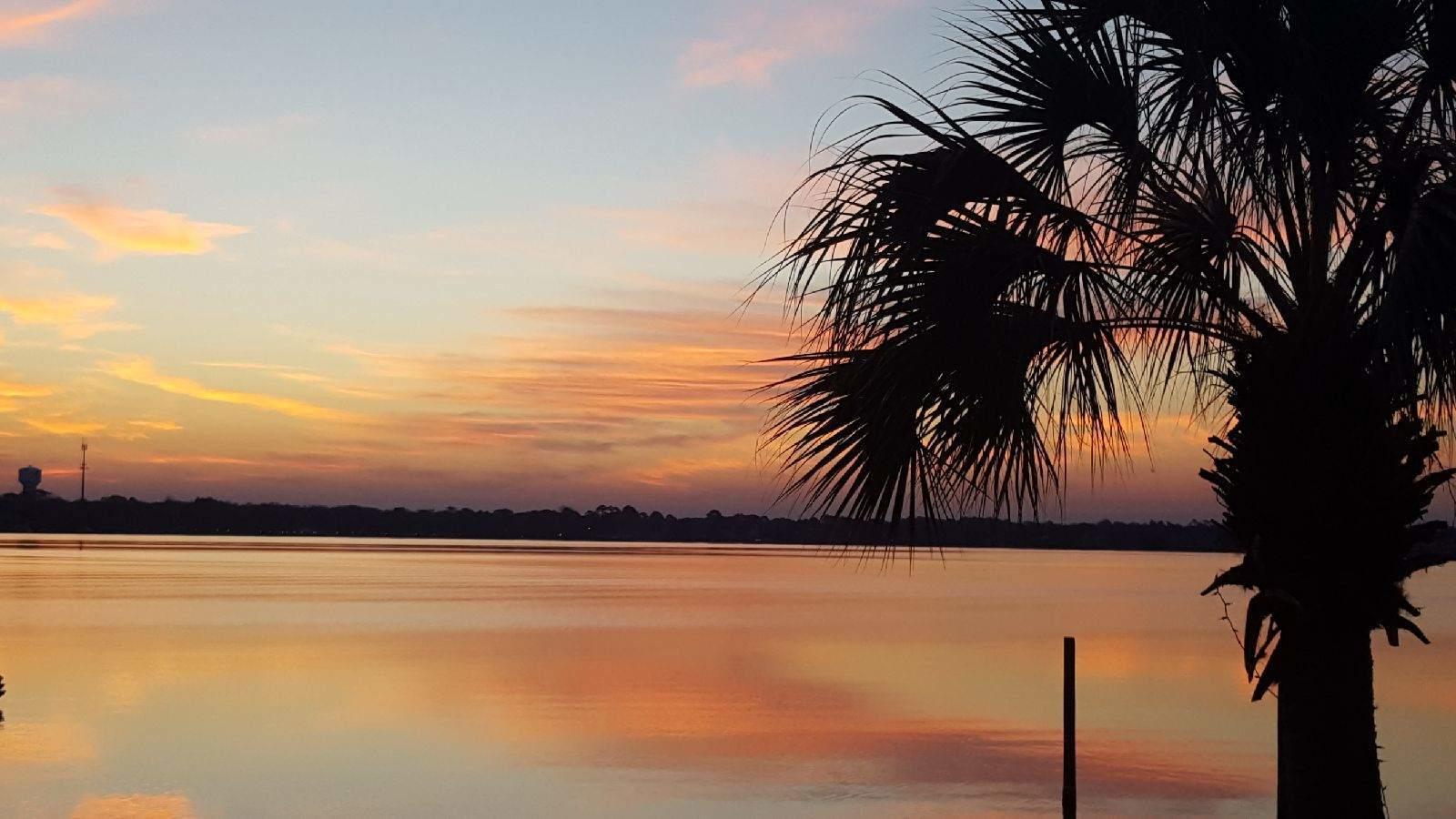 PALM HARBOR MARINA - Residential