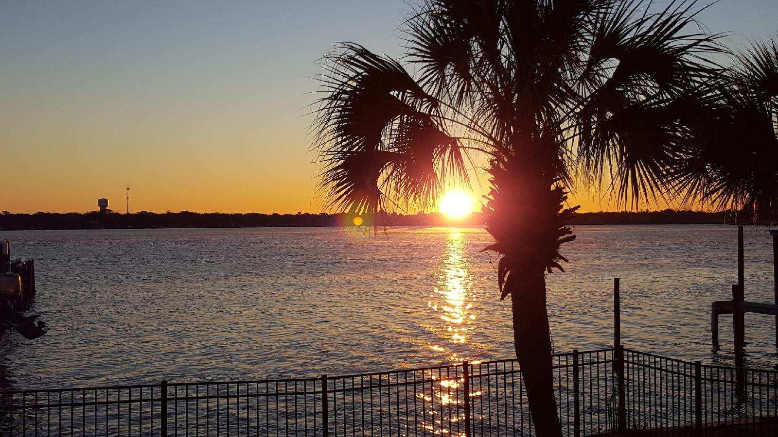 PALM HARBOR MARINA - Residential