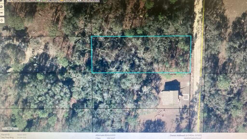 No restrictions no association this vacant lot is perfect for building your dreamm home, vacation home, or to put a manufacture home 
Panhandle Florida has one of the most beautiful beaches with white sand 1 hour or less of a drive 
fast growing Defuniak Springs
don't miss this opportunity to own your piece of paradise!