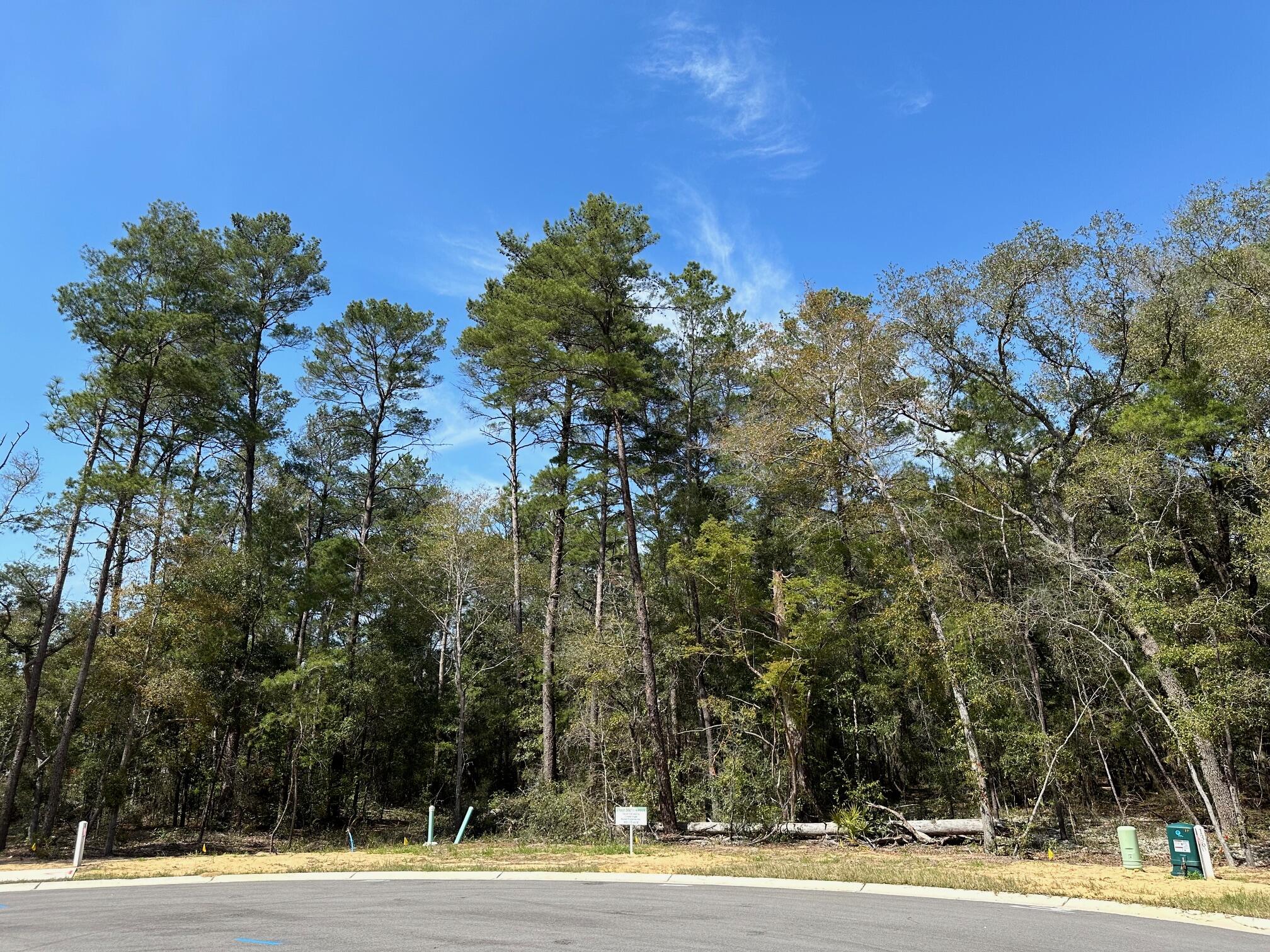 Deer Moss Creek - Land