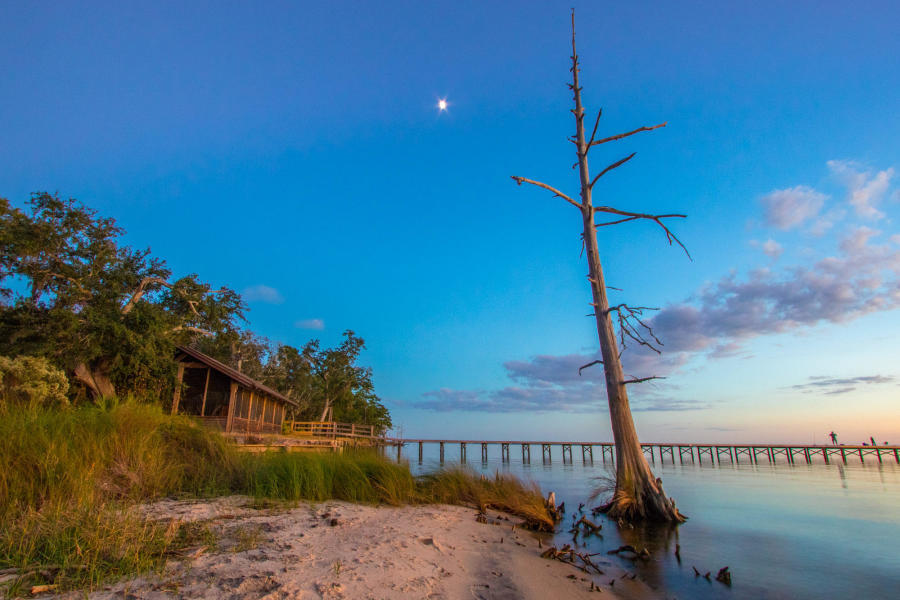 HAMMOCK BAY - WILDFLOWER - Residential