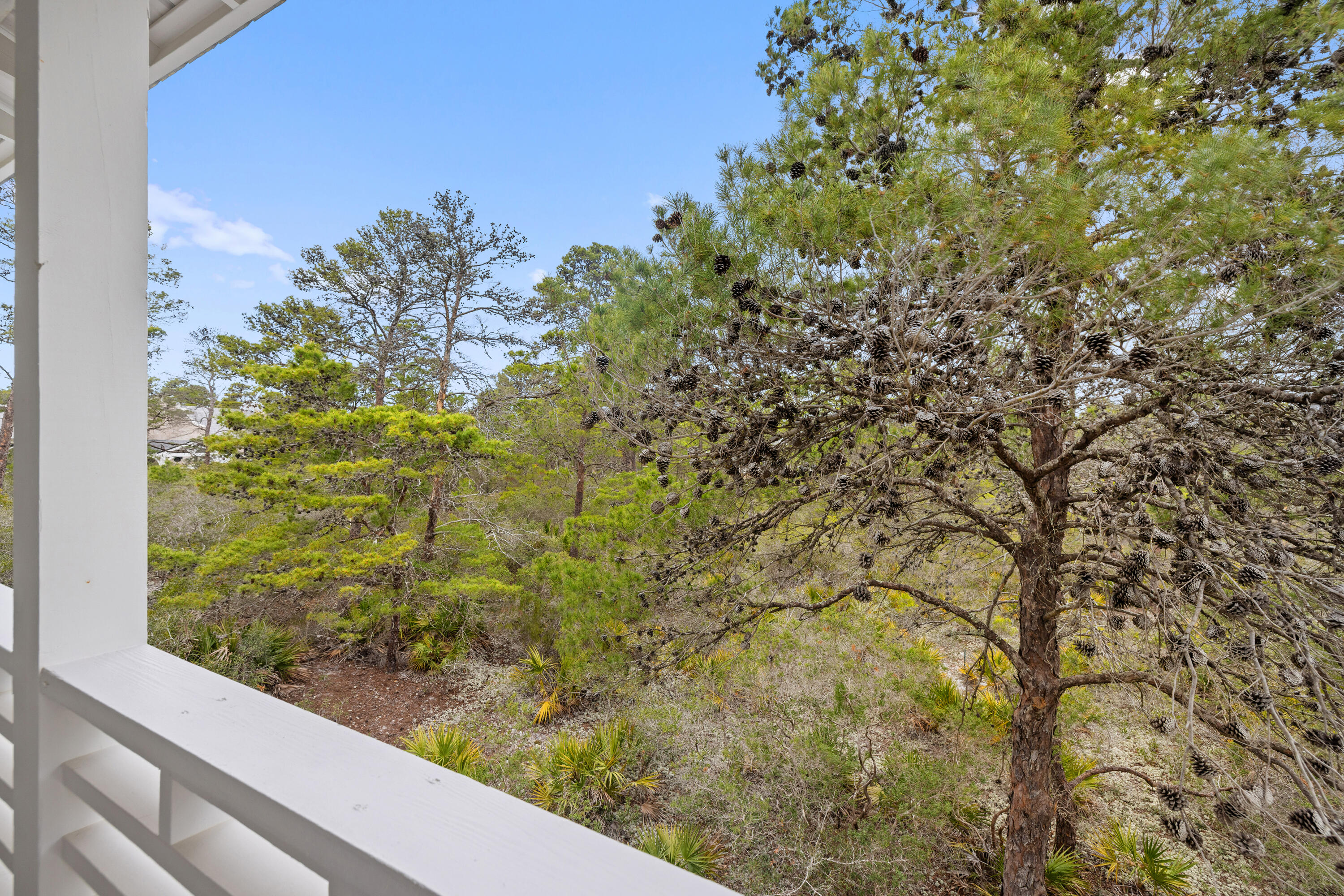 PINES OF BLUE MOUNTAIN - Residential