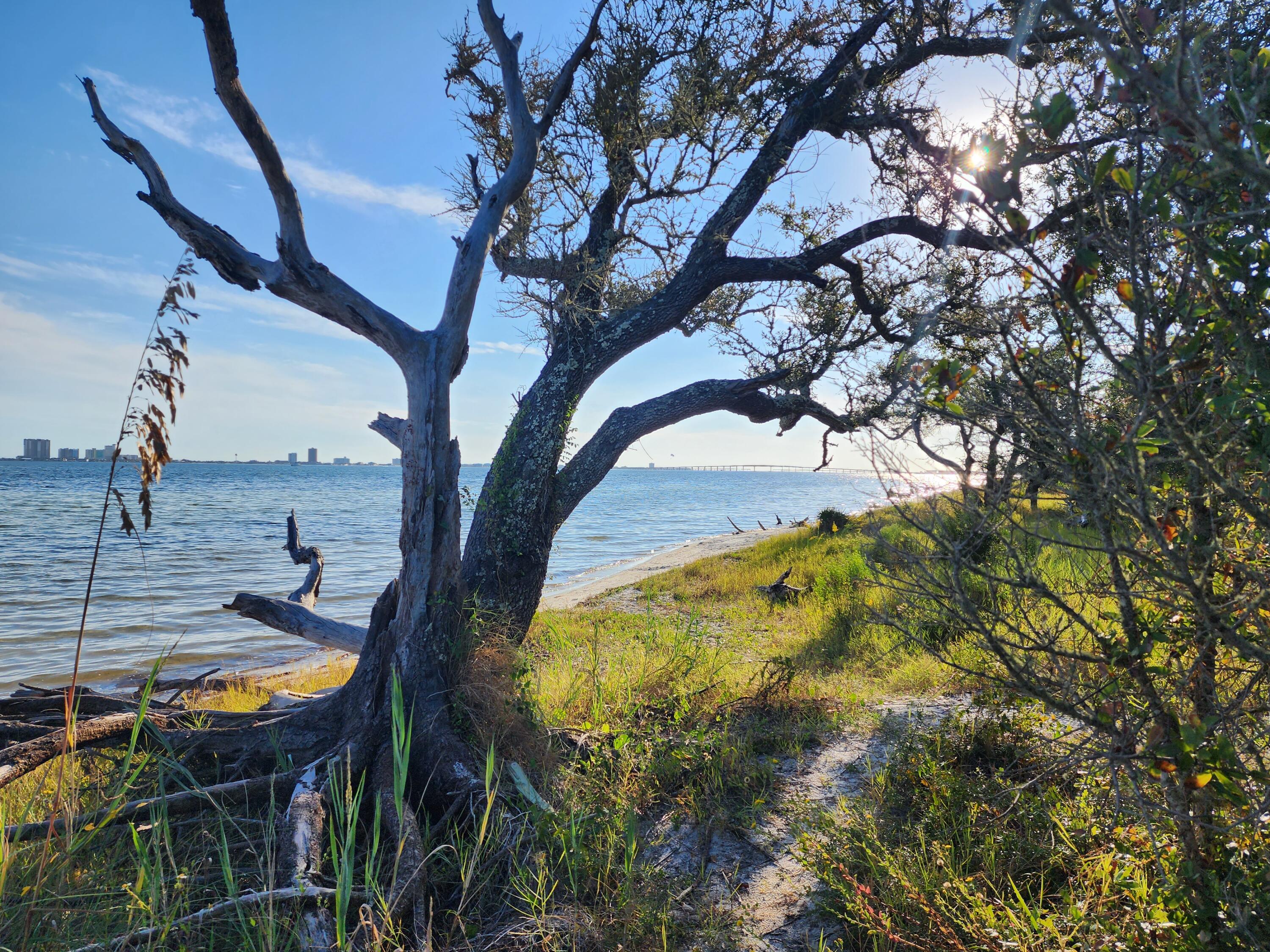 Natures Cove - Residential