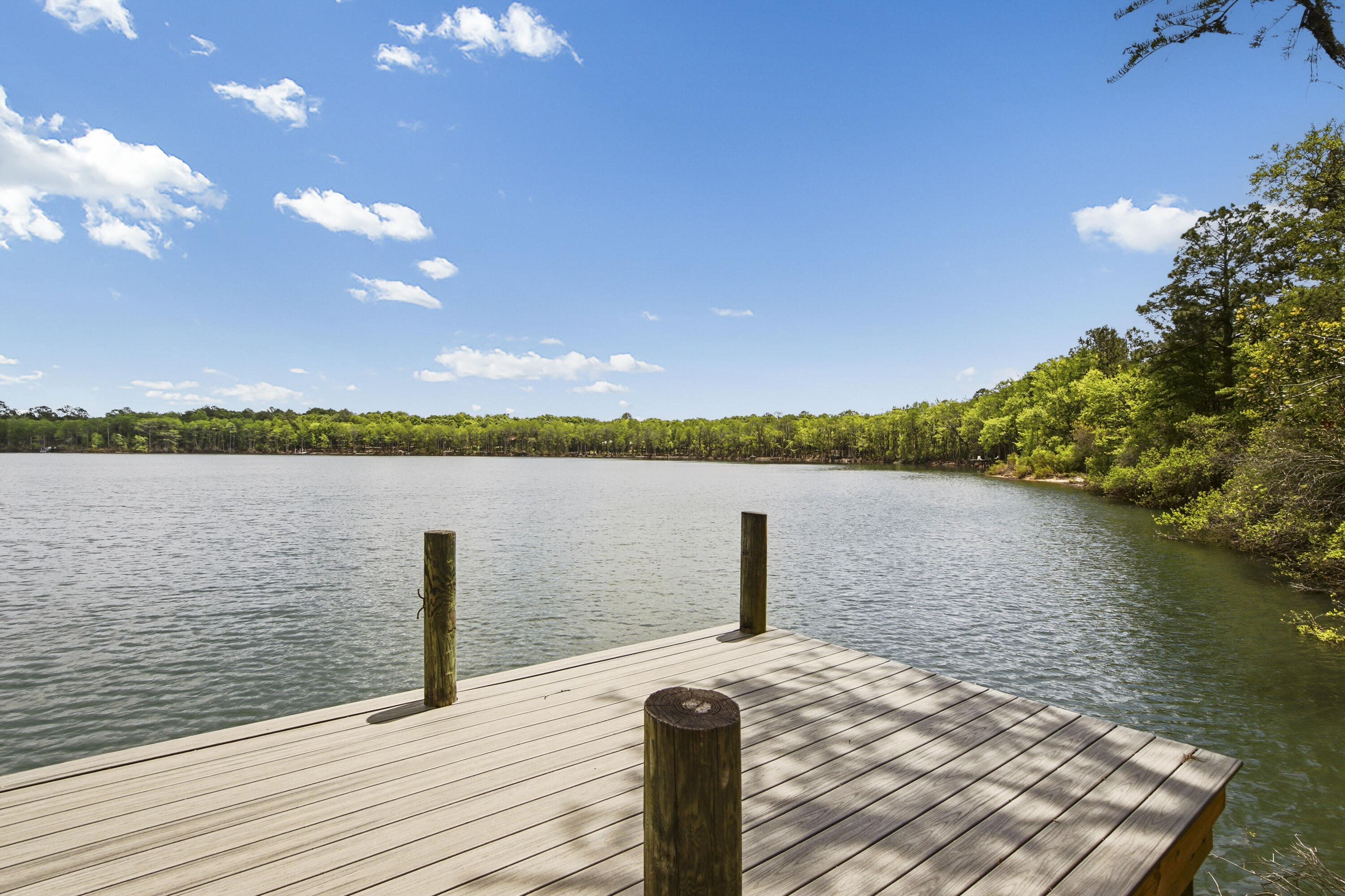 BLUE CYPRESS - Residential