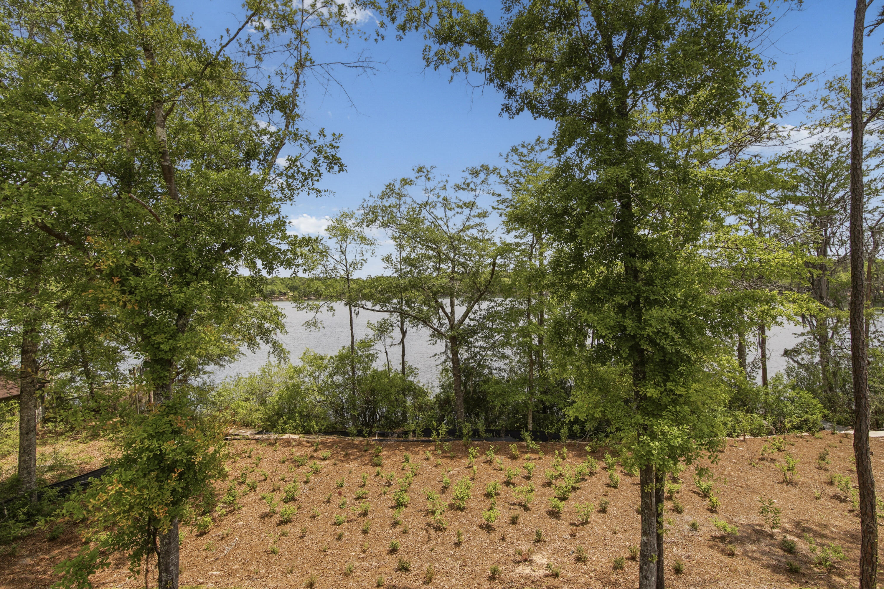 BLUE CYPRESS - Residential