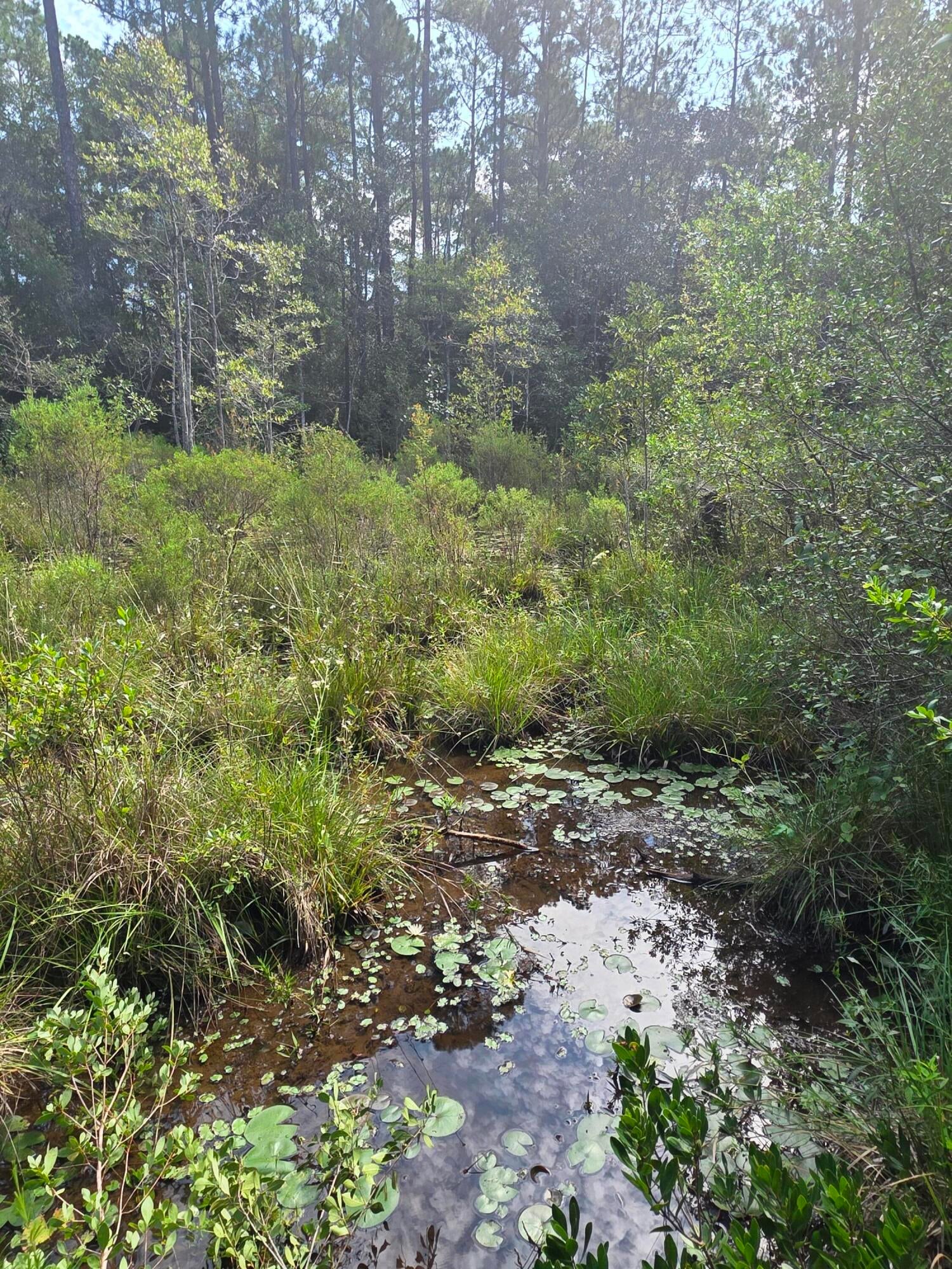 OAKWOOD HILLS - Land