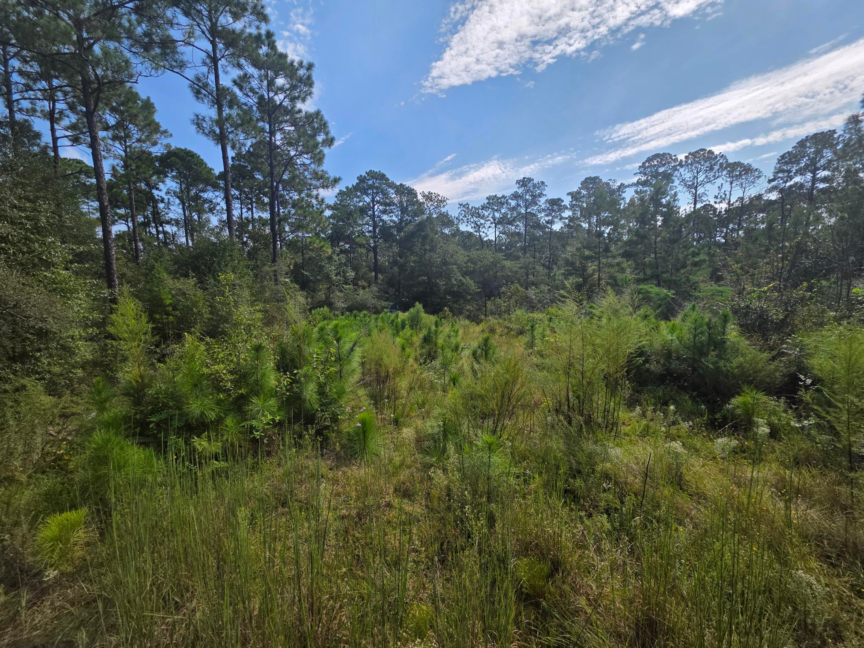 OAKWOOD HILLS - Land