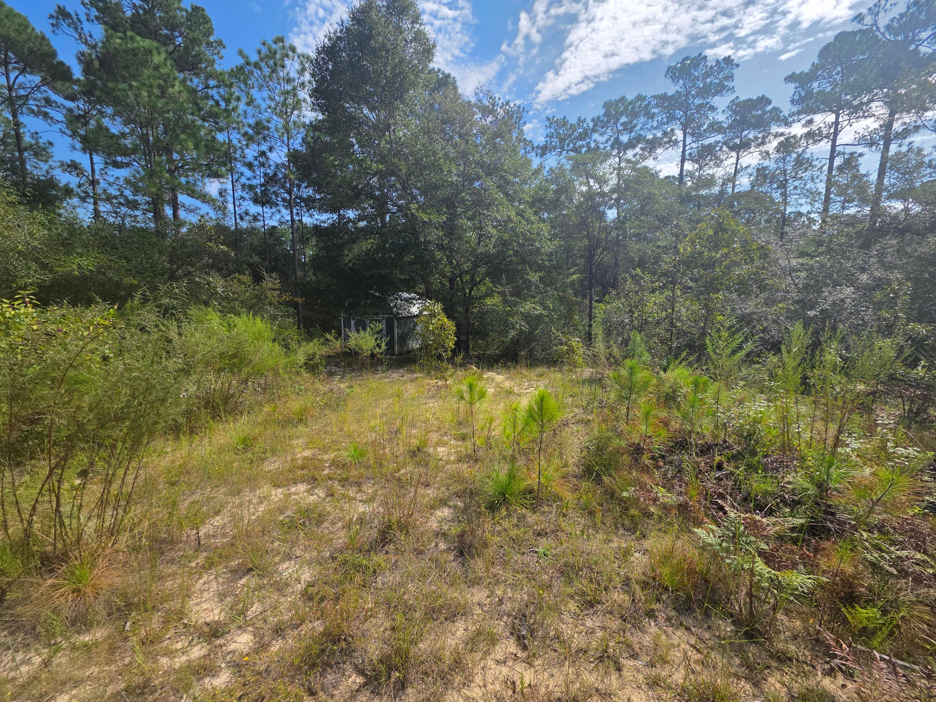 OAKWOOD HILLS - Land