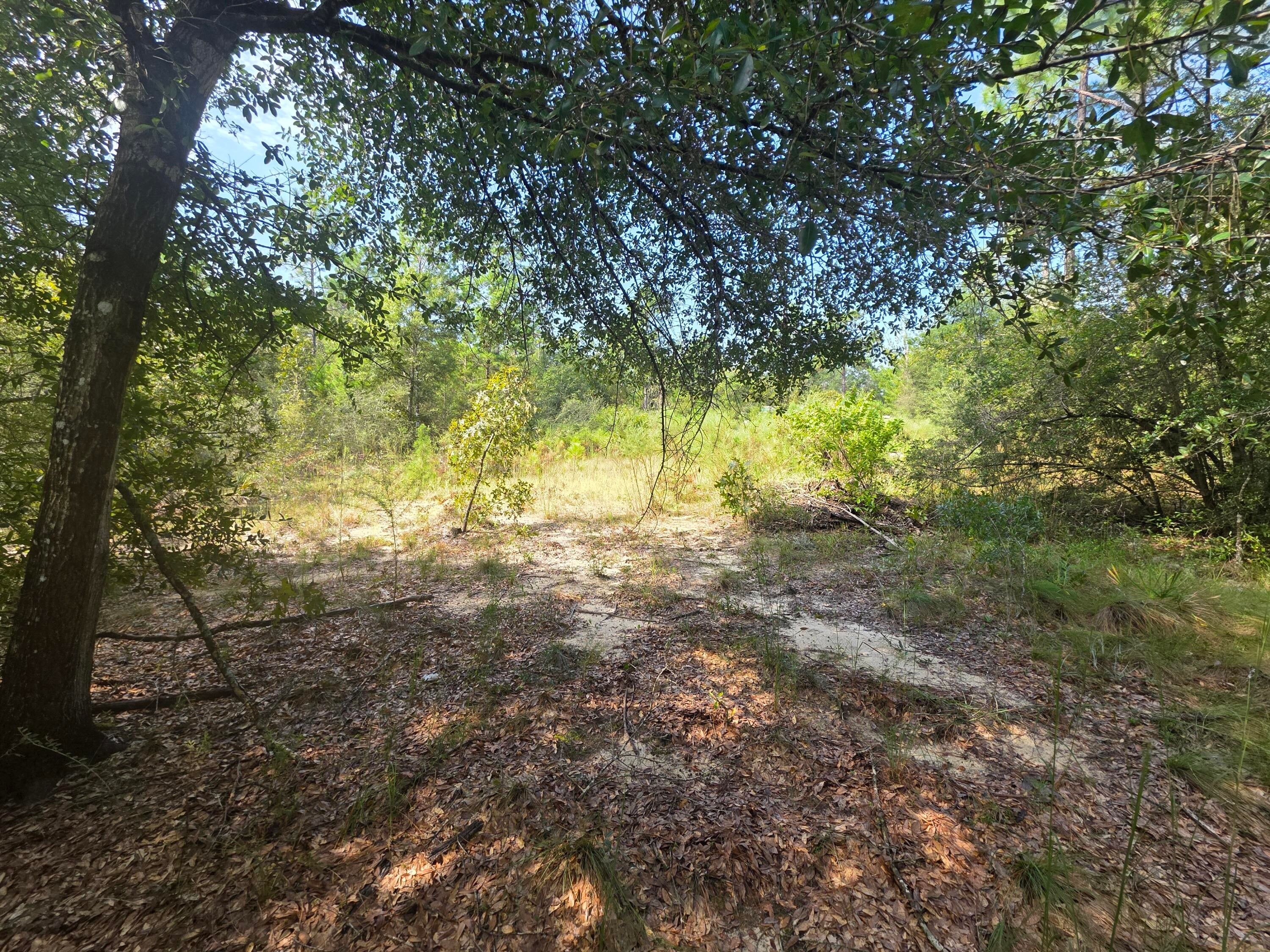 OAKWOOD HILLS - Land