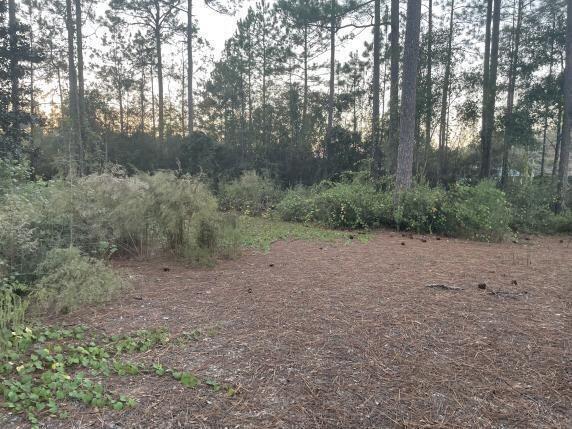 Lake Rosemary Estates Unit 2 - Land