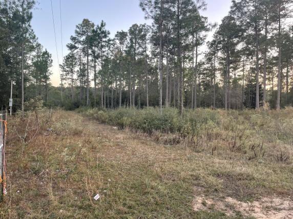 Lake Rosemary Estates Unit 2 - Land