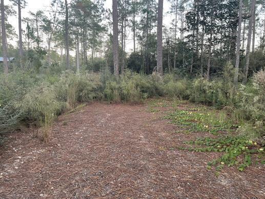 Lake Rosemary Estates Unit 2 - Land