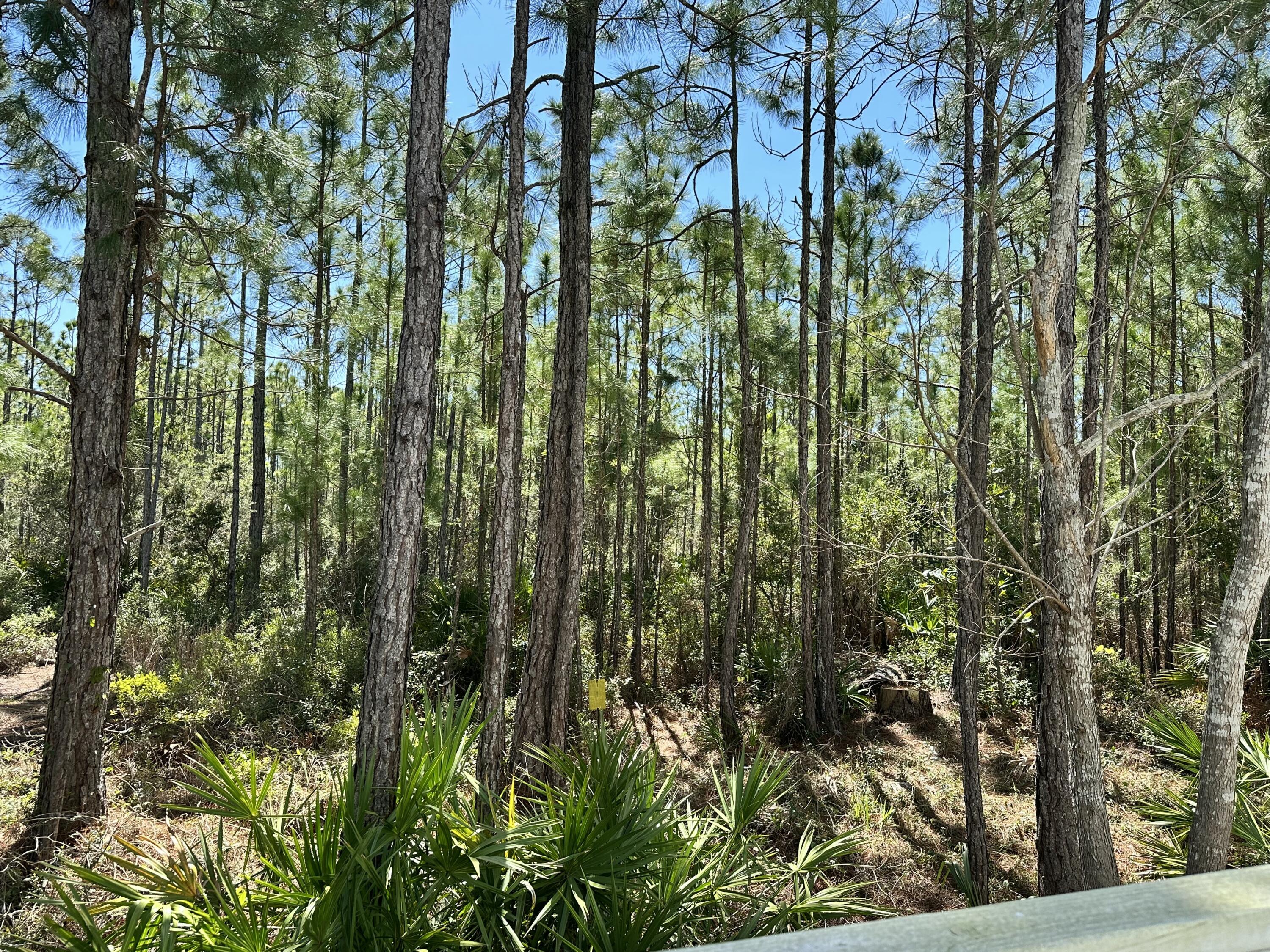 HIDDEN GROVE - Residential