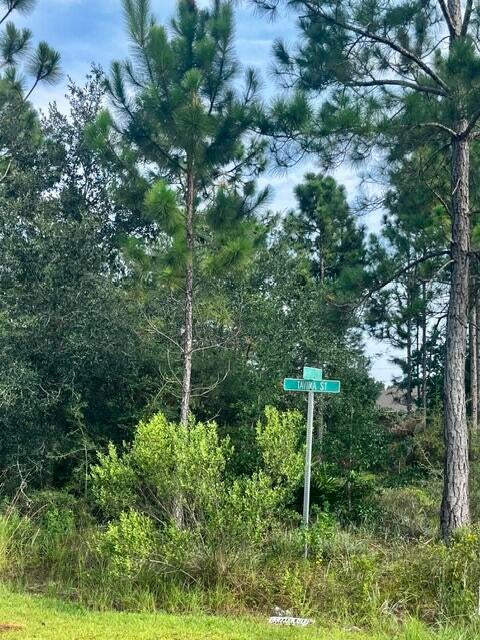 Build your dream home on this spacious nearly half-acre homesite with no HOA restrictions. At the intersection of Avenida De Sol and Tavira this corner lot Ideally located just minutes from Navarre's world-famous sugar-white beaches, you'll enjoy convenient access to shopping, restaurants and top-rated schools. The lot is wooded and will require clearing, giving you the flexibility to preserve the mature trees you choose while creating your ideal homesite. Whether you're planning a primary residence, second home, or investment property, this property offers the perfect opportunity to build in one of Northwest Florida's most desirable coastal communities. Spend your days fishing from the iconic Navarre Beach Fishing Pier, relaxing along the Gulf of America, visiting the Navarre Beach Sea Turtle Conservation Center or cycling in Gulf Island National Seashore.