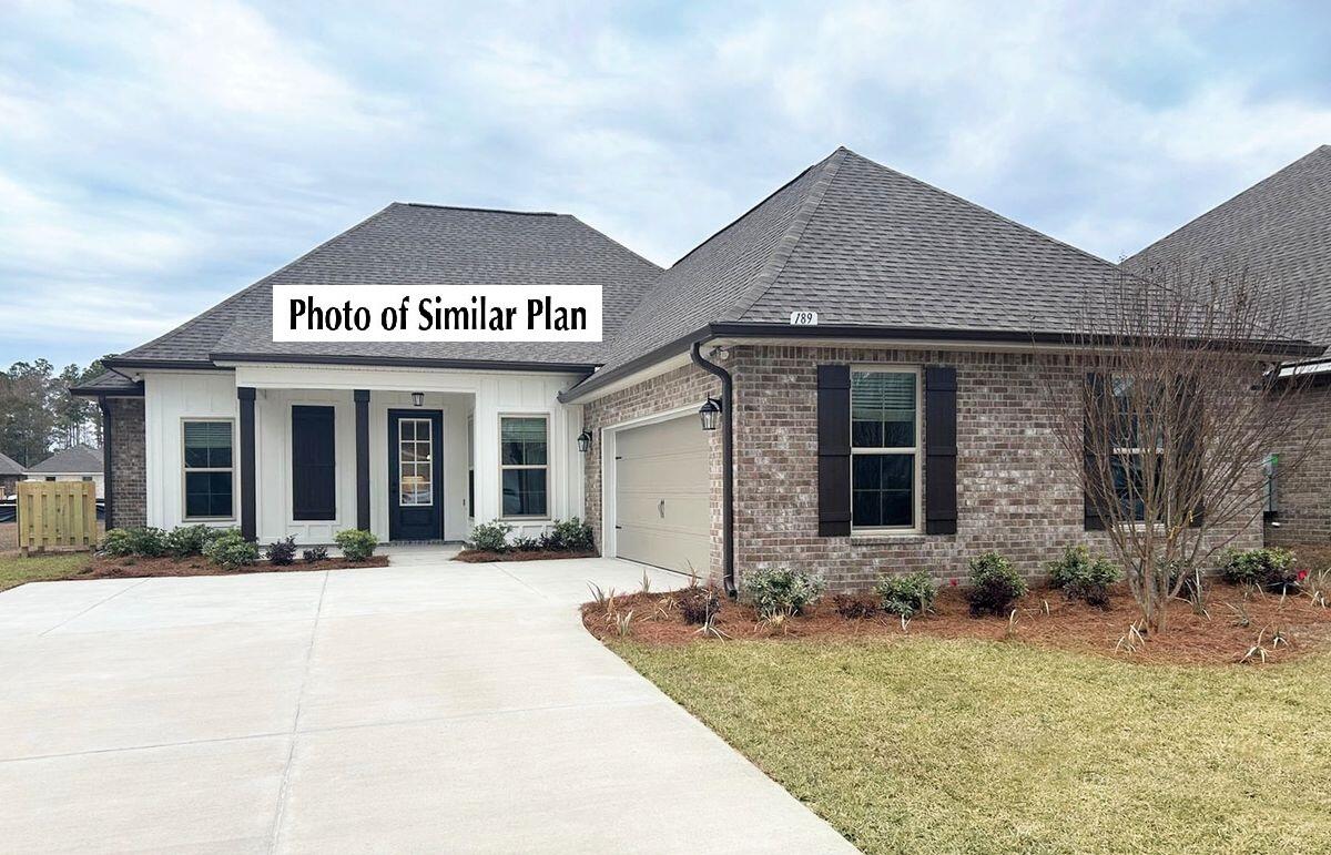 HAMMOCK BAY - BIRD SONG - Residential