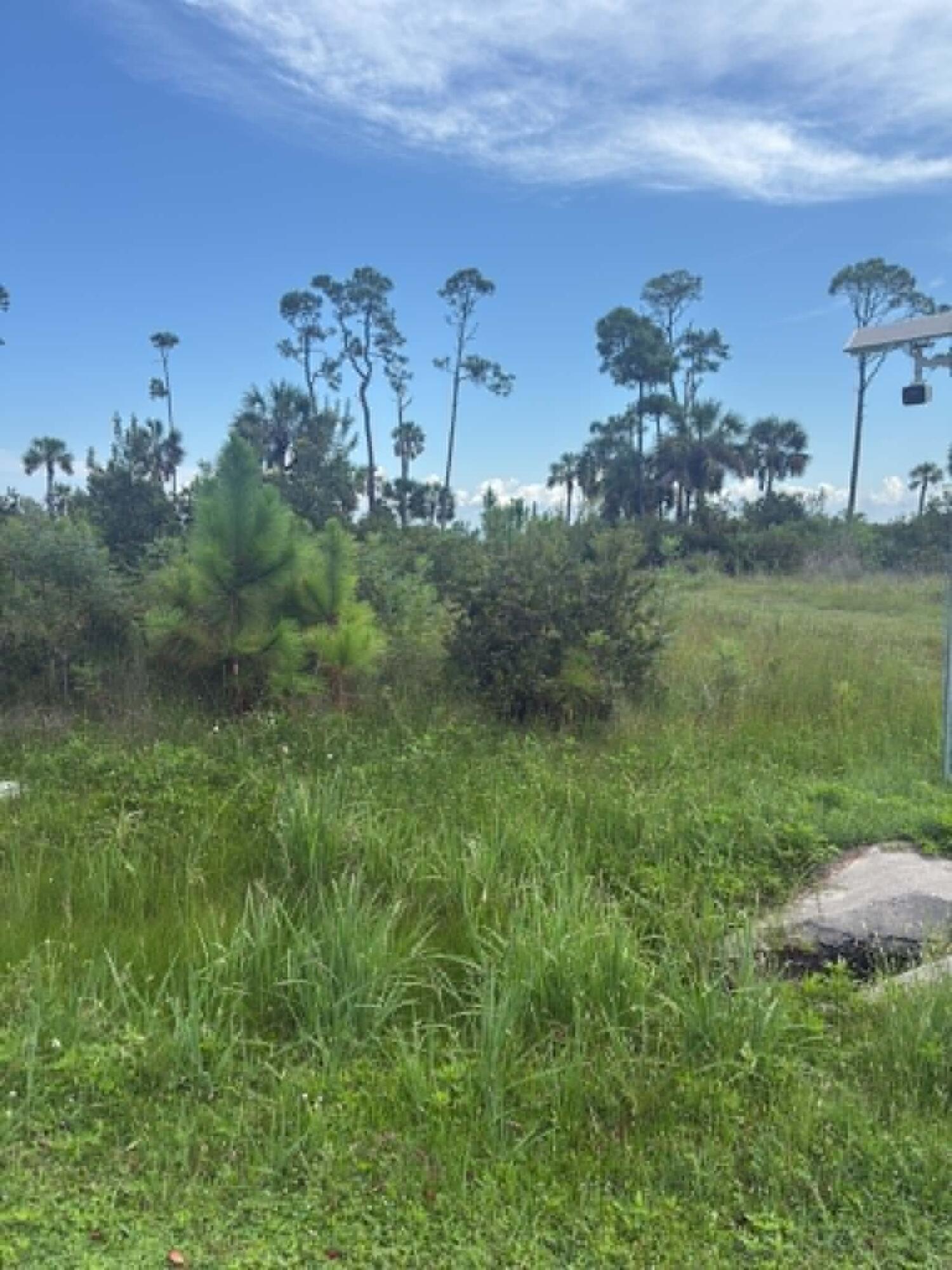 Platted bayfront building lot with outstanding views of the head of St Joseph's Bay and Black's Island. This lot has minimal marsh grass in front of it and therefore would have easier access to scalloping, kayaking, paddle boarding and small craft boating. Easy access to Salinas Park for legal driving access to the beach and all of the south Cape. Lot is currently not subject to the Villa Del Sol HOA and was pulled out of the development years ago. A portion of the flood zone is AE and VE. The Villa Del Sol HOA would consider membership for access to amenities. Some dimensions were obtained via the Gulf County Property Appraiser's website. Please verify if important.