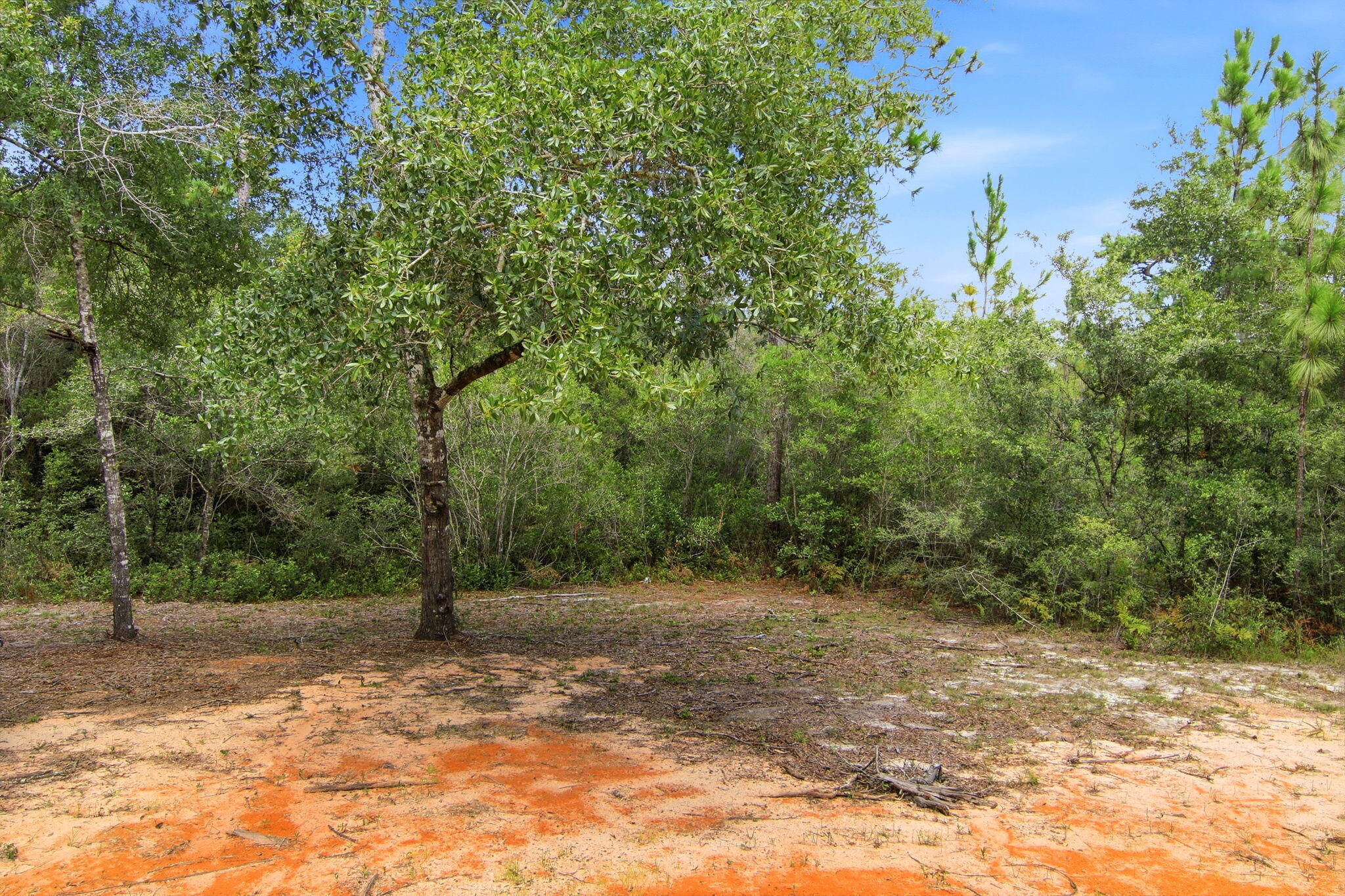 Juniper Trace - Residential