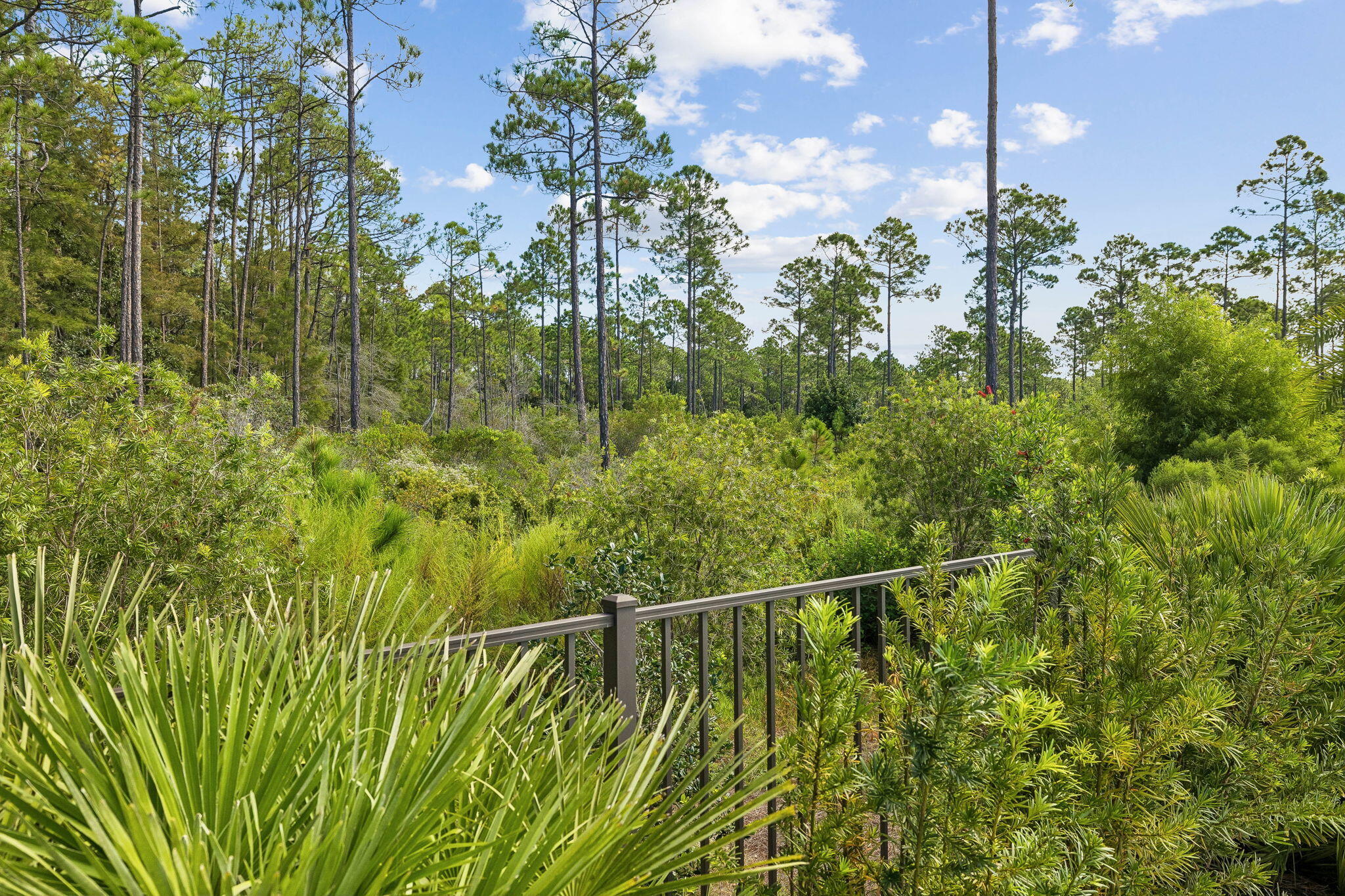 Naturewalk at Watersound Origins - Residential