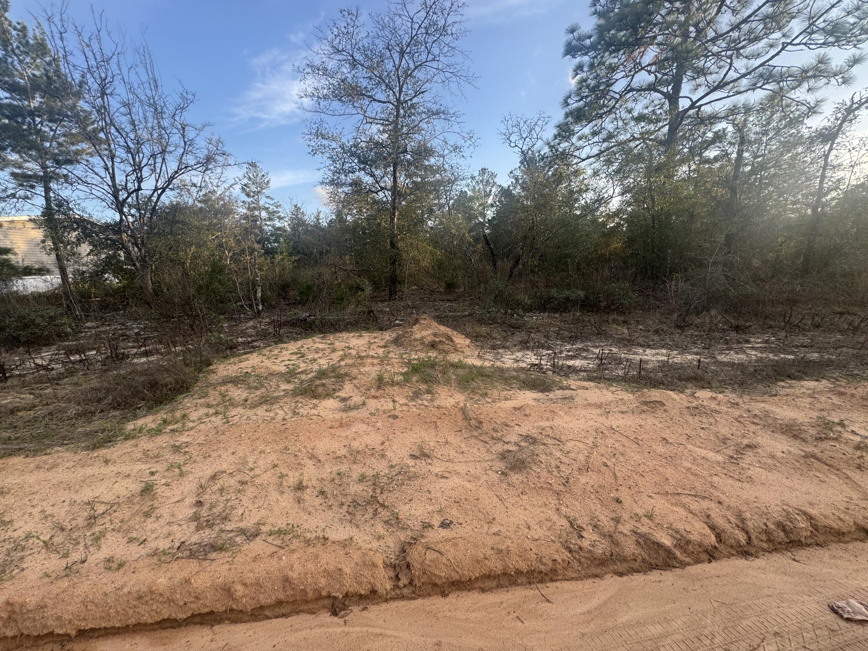Build your dream home or invest in the growing community of DeFuniak Springs! This affordable vacant lot, offers a great opportunity for buyers looking for space, privacy, and future potential. Located in a quiet area with convenient access to local amenities, this property provides the perfect setting for a primary residence, second home, or investment build.

Enjoy the charm of North Walton County with nearby lakes, parks, and historic downtown DeFuniak Springs just a short drive away. No HOA gives you added flexibility to design and build to your vision. Whether you're looking to build now or hold for future appreciation, this property is a smart buy.

Buyer to verify all information deemed important including zoning, utilities, and building requirements.