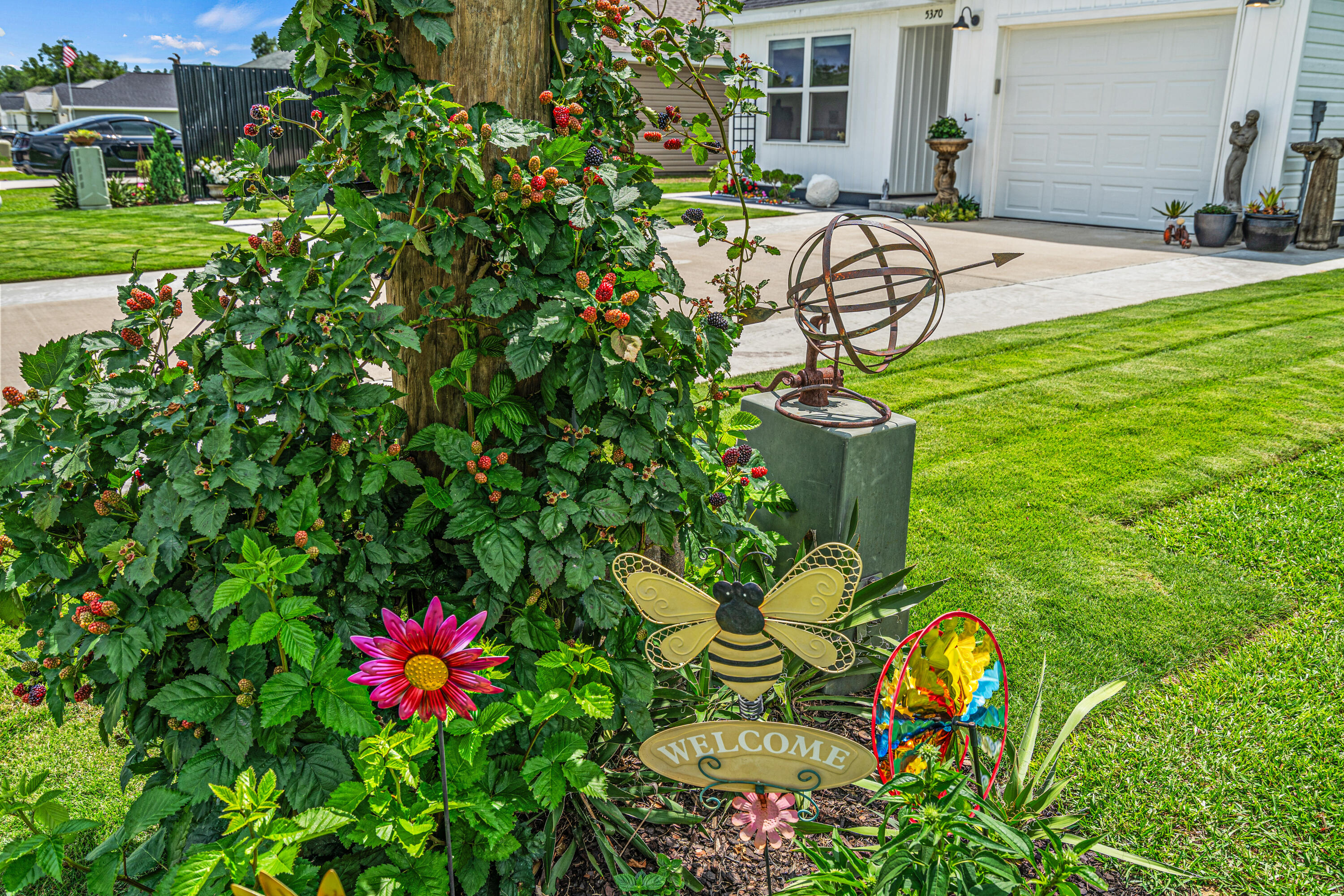 Holley Grove - Residential