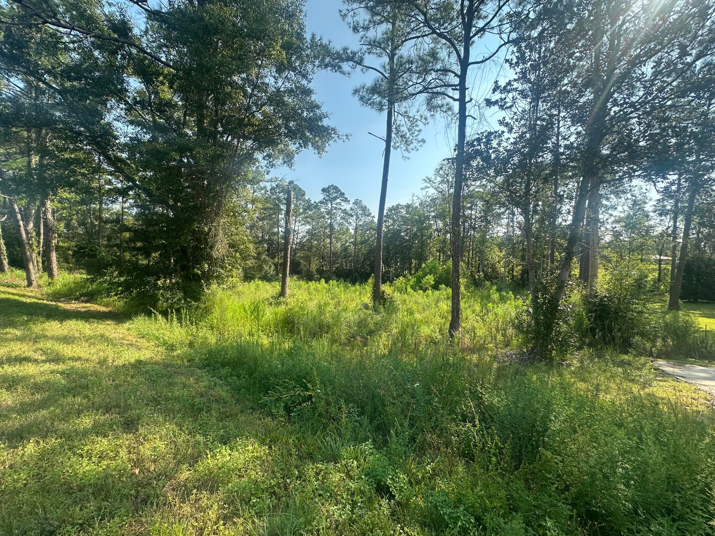 TEN LAKE ESTATES UNIT 1 - Land