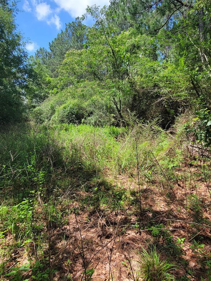 Unincorporated - Land