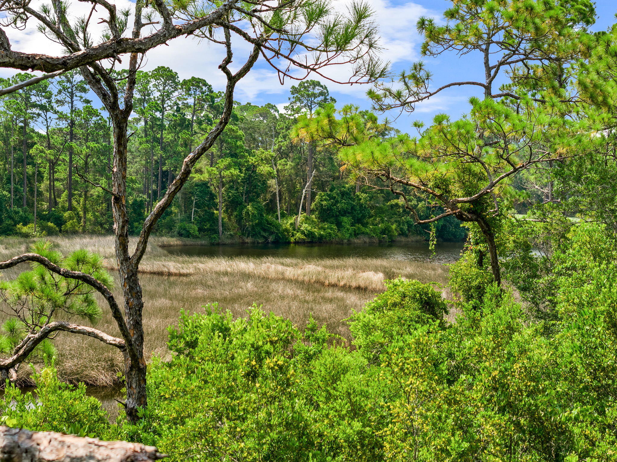 WILD HERON - Land