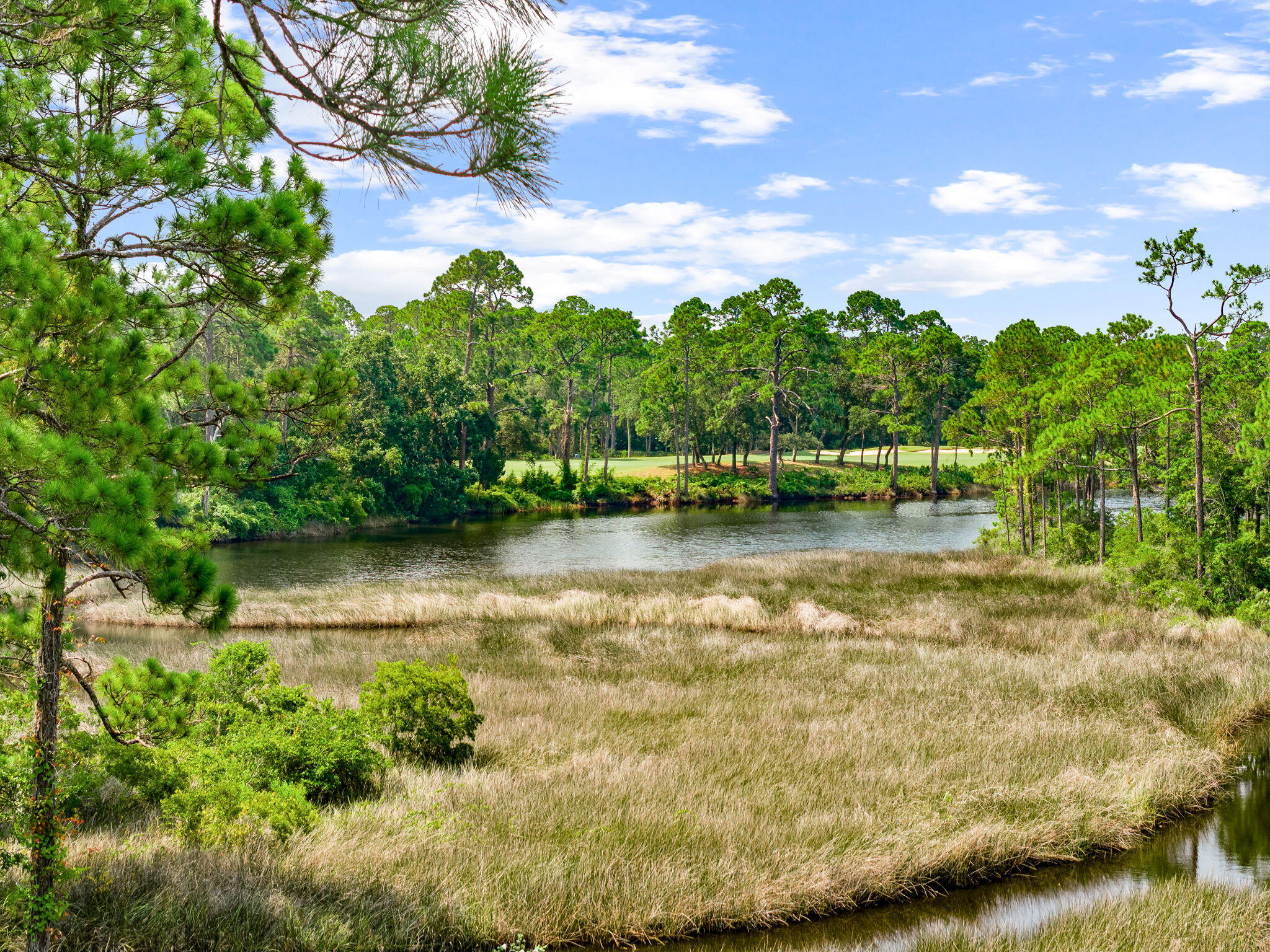 WILD HERON - Land