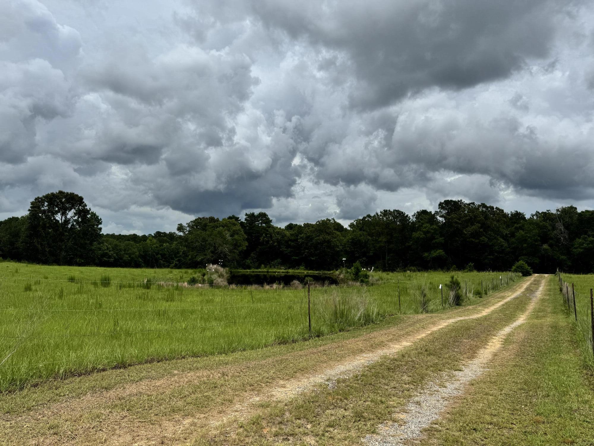 Exceptional 42-acre property offering a beautiful homesite and endless possibilities for country living, recreation, or a private estate. The property features a stocked pond, a pole barn, and an additional open shed, providing ample space for equipment, livestock, and storage. With a mix of open land and natural surroundings, this property is ideal for horses, cattle, other farm animals, hunting, or building your dream home. An existing home is located on the property and is being given no value. Whether you're looking for a recreational retreat, a working farm, or the perfect place to build, this versatile acreage offers the space and freedom to make it your own.