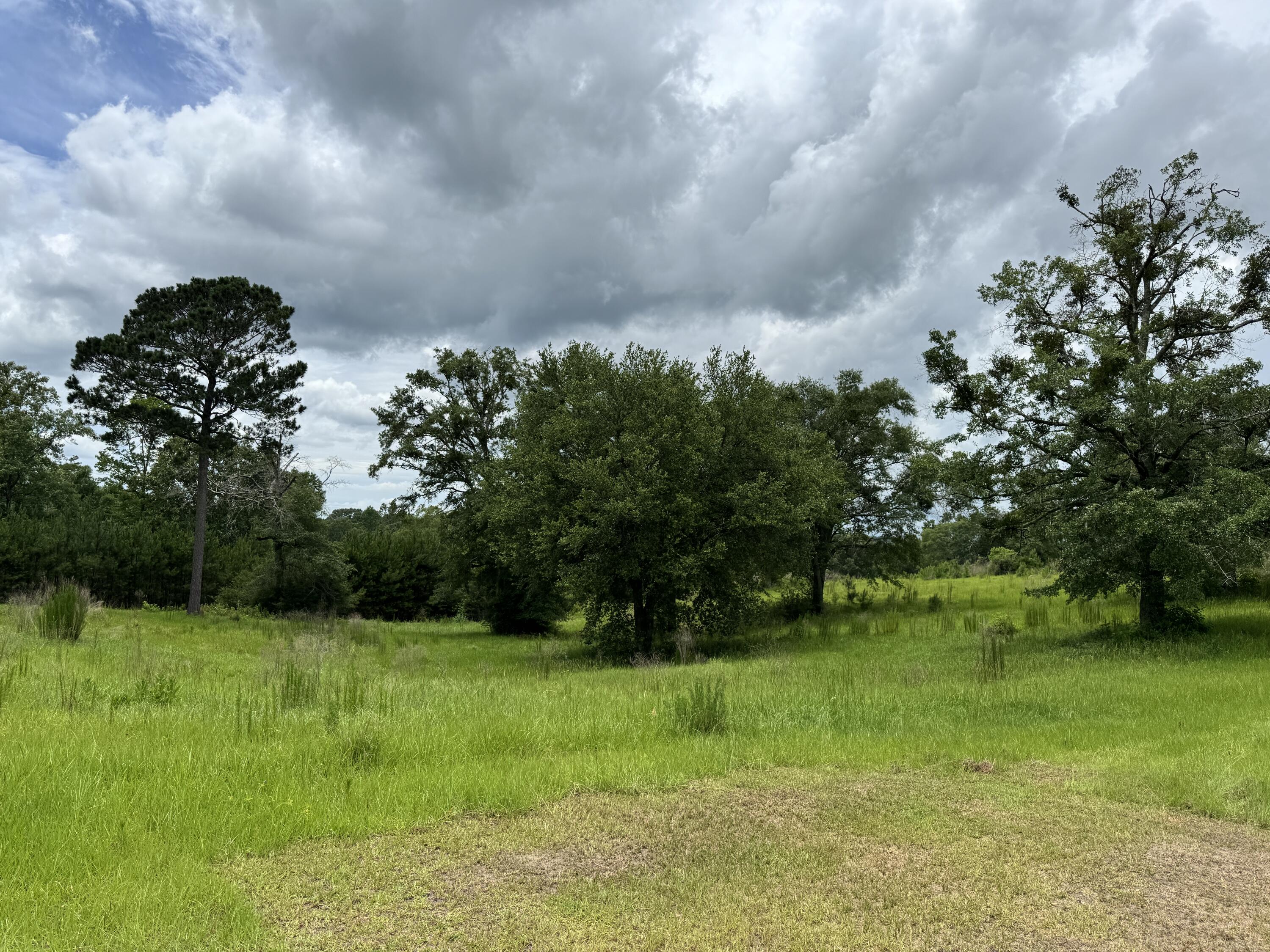 Countywide Residential - Land
