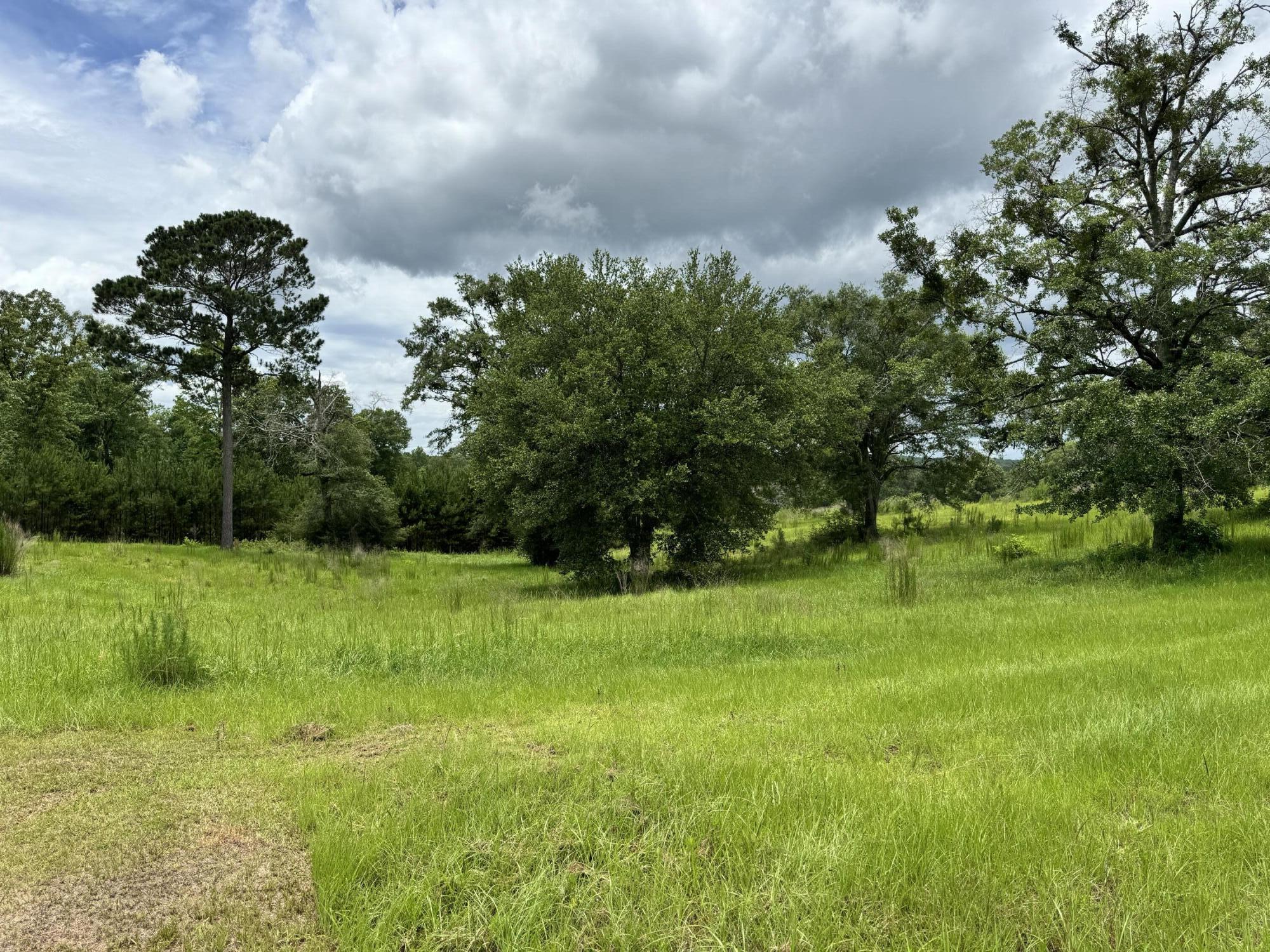 Countywide Residential - Land