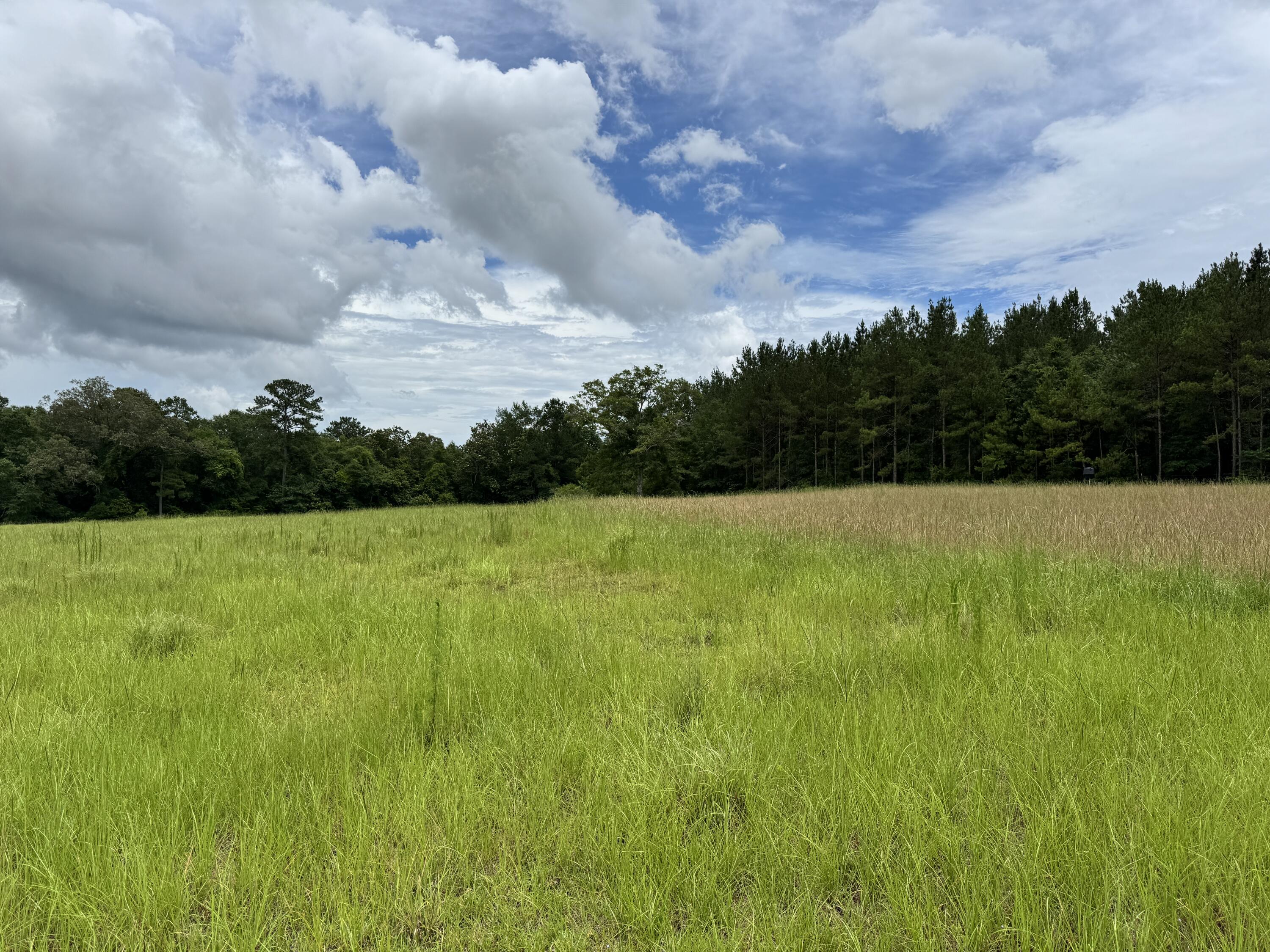Countywide Residential - Land