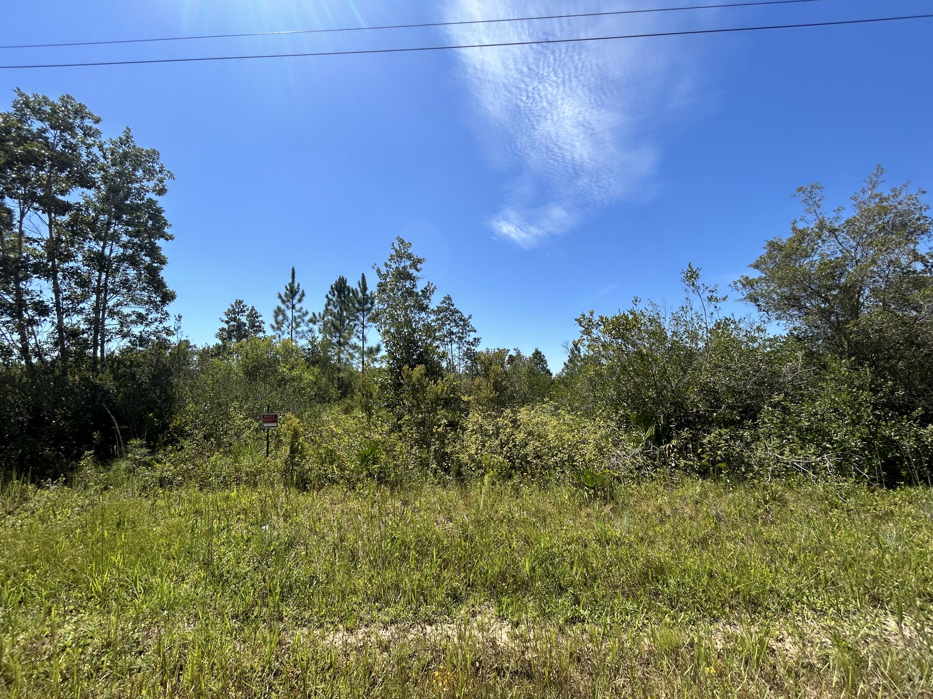 ** Seller might consider dividing into 2- 10+/-acre parcels for $117,000 each. Paving for Rollohome Road has started! This 20-acre property in Fountain, Florida offers endless potential in a peaceful rural setting while keeping you within miles to the coast and city conveniences. Located just 27 miles from Panama City, 32 miles to Northwest Florida Beaches International Airport (ECP), 37 miles to Panama City Beach, and 34 miles to Mexico Beach, it's perfectly positioned for a private retreat, custom home, farm, or future development. With mature trees, open spaces, and easy highway access, this land provides a rare opportunity to enjoy country living while staying connected to shopping, dining, and the Gulf Coast lifestyle.