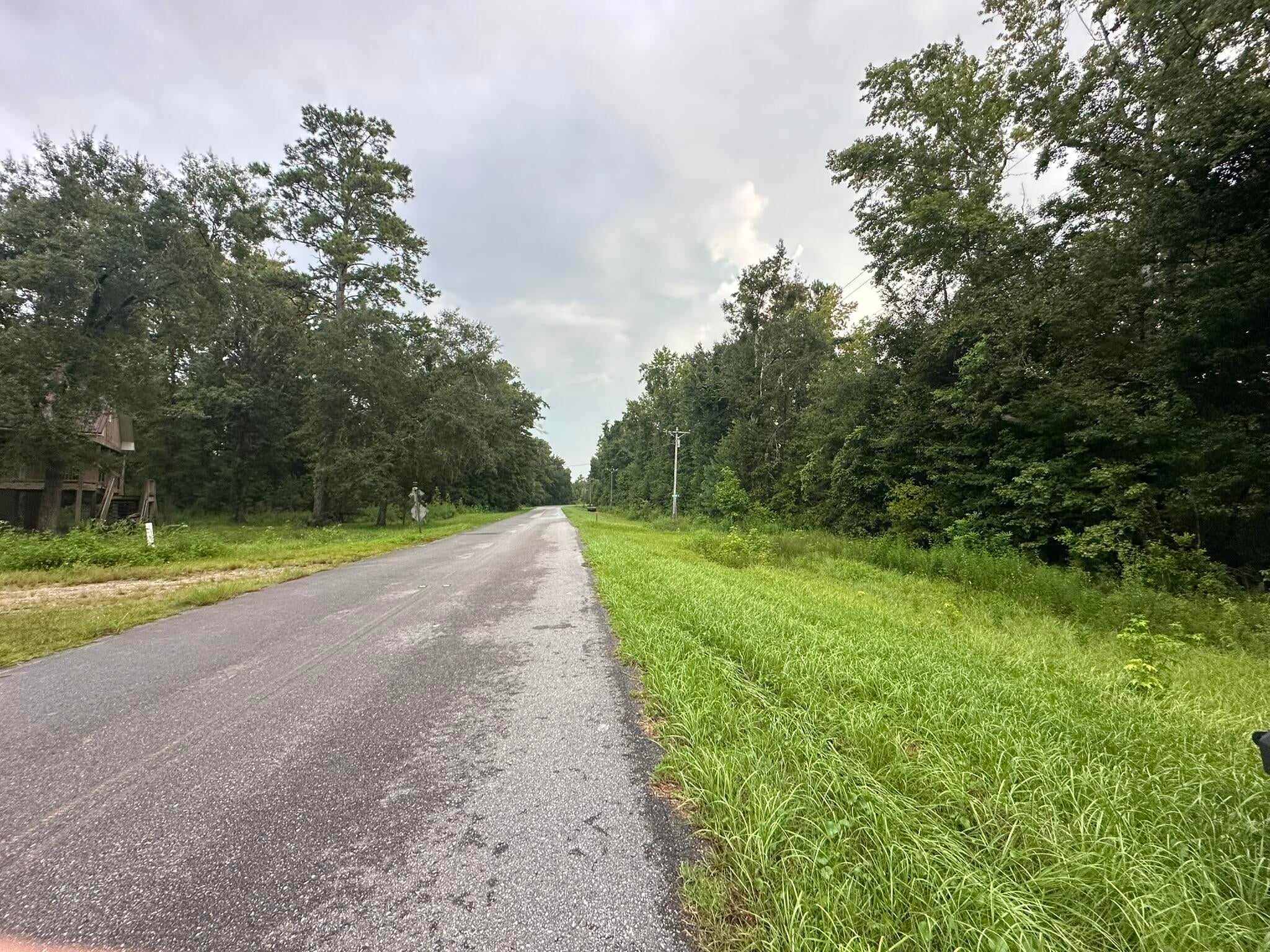 Welcome to Wewahitchka, where Old Florida charm meets incredible outdoor recreation! This property at 355 Riverside Circle offers the opportunity to own a piece of Gulf County surrounded by the natural beauty that makes this area so special. Known as ''Wewa,'' the community is home to the famous Dead Lakes and nearby Chipola River, offering opportunities for fishing, boating, kayaking, wildlife watching, and enjoying the great outdoors. Wewahitchka is also renowned for its prized Tupelo honey and annual Tupelo Honey Festival. With Port St. Joe and the beautiful Gulf Coast within easy reach, enjoy peaceful small-town living while remaining close to beaches, coastal dining, shopping, and recreation. Buyer and Buyer's Agent to verify all information deemed important to the purchase, including but not limited to zoning, dimensions, utilities, access, and intended use.