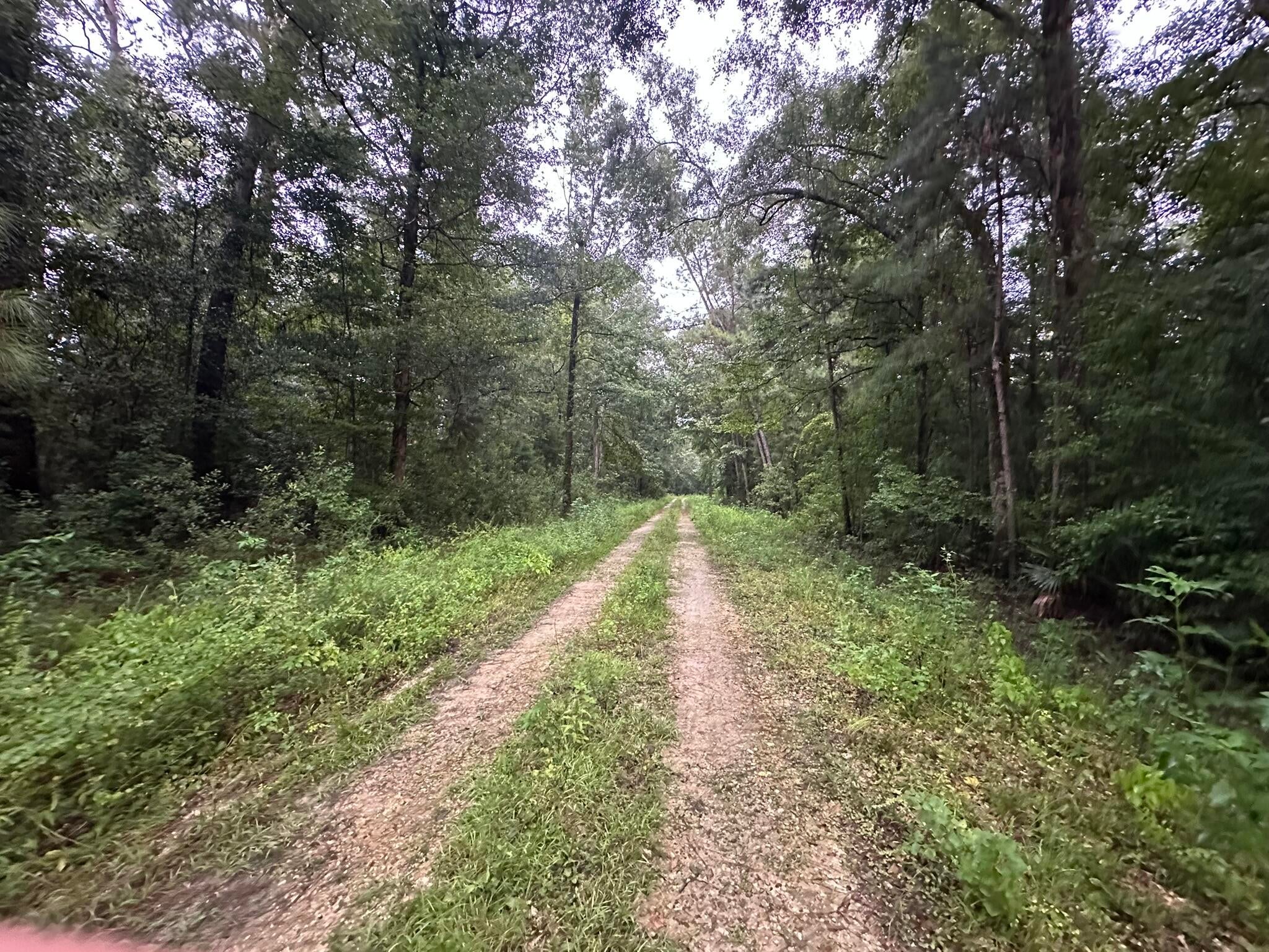 Riverside Subdivision - Gulf County, FL - Land