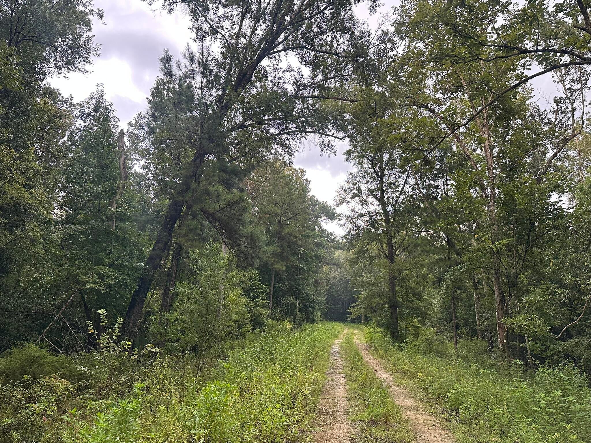 Riverside Subdivision - Gulf County, FL - Land