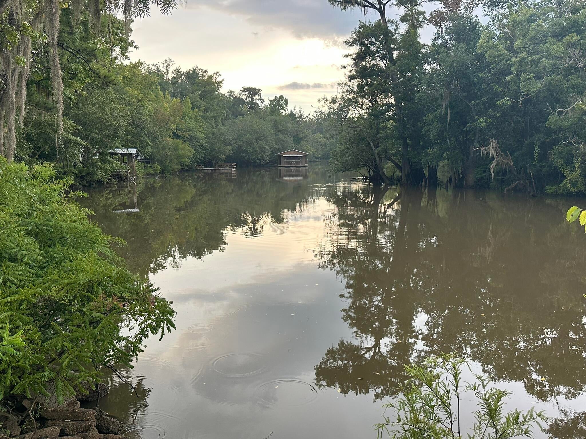 Riverside Subdivision - Gulf County, FL - Land