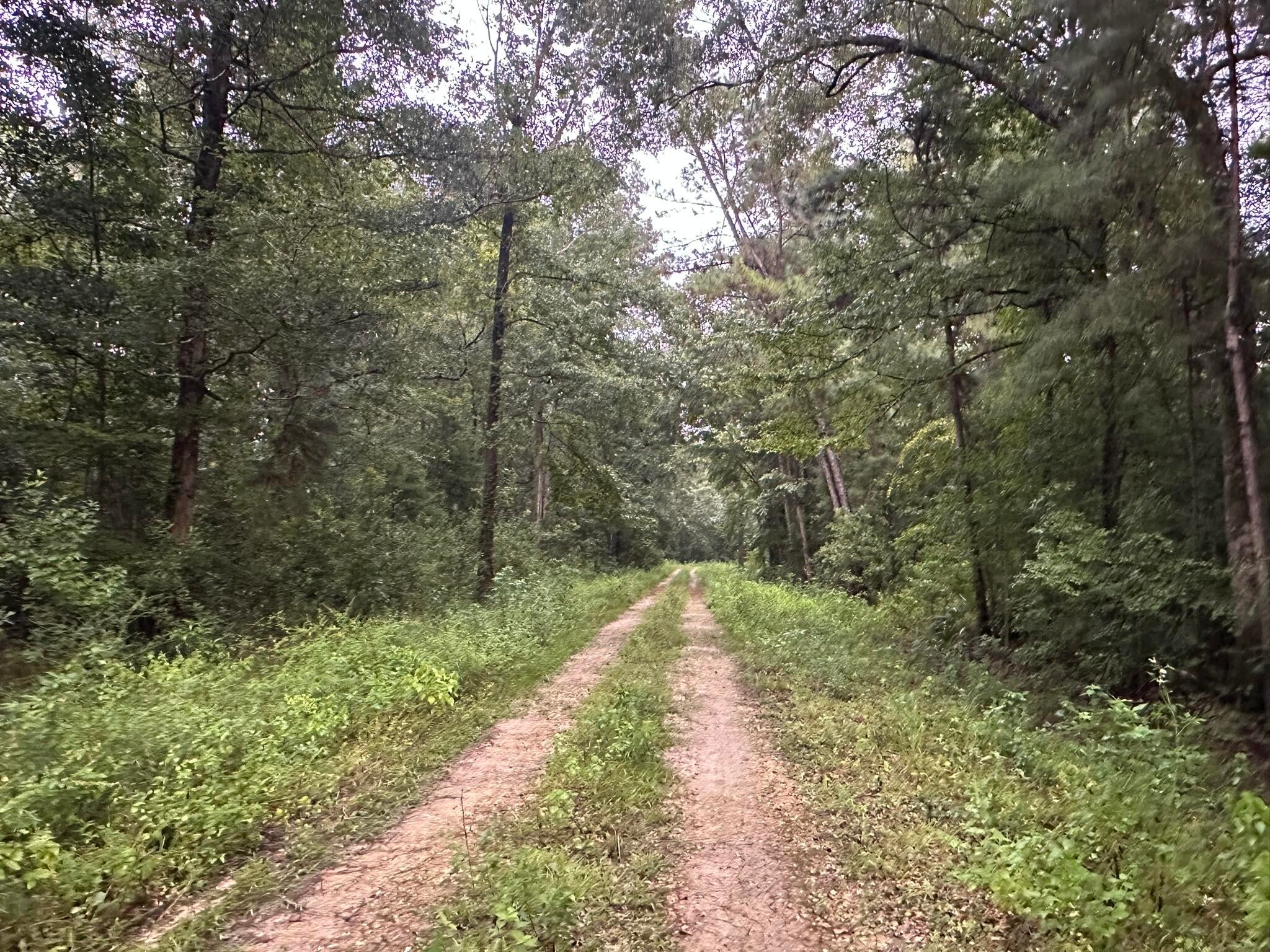 Riverside Subdivision - Gulf County, FL - Land