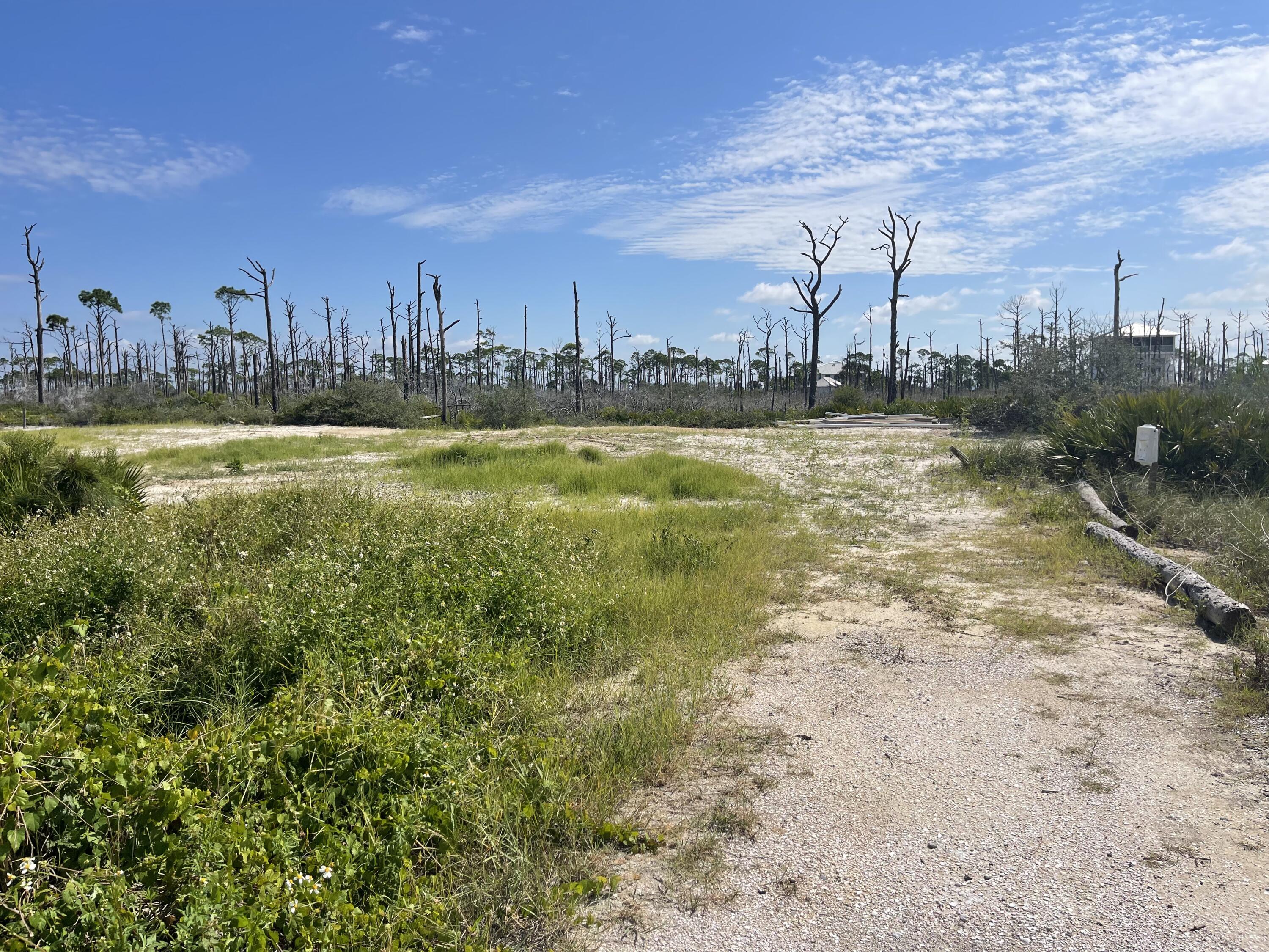 The Bluff at Secluded Dunes - Land