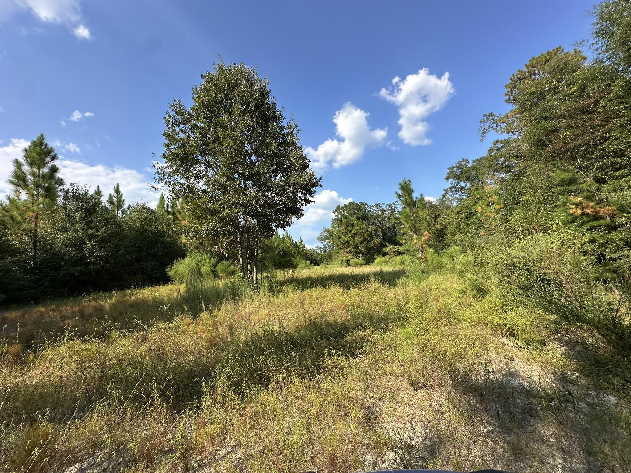 Do Not Enter the Property without an agent who has an approved appointment. Discover opportunity along New Ebenezer Road in Laurel Hill. This expansive parcel offers a peaceful setting with paved access and room to bring your vision to life. The location provides a balance of privacy and practicality, surrounded by the quiet charm of North Okaloosa County. Whether you're planning a new build, agricultural use, or a strategic land investment, this property delivers potential and space to make it your own.