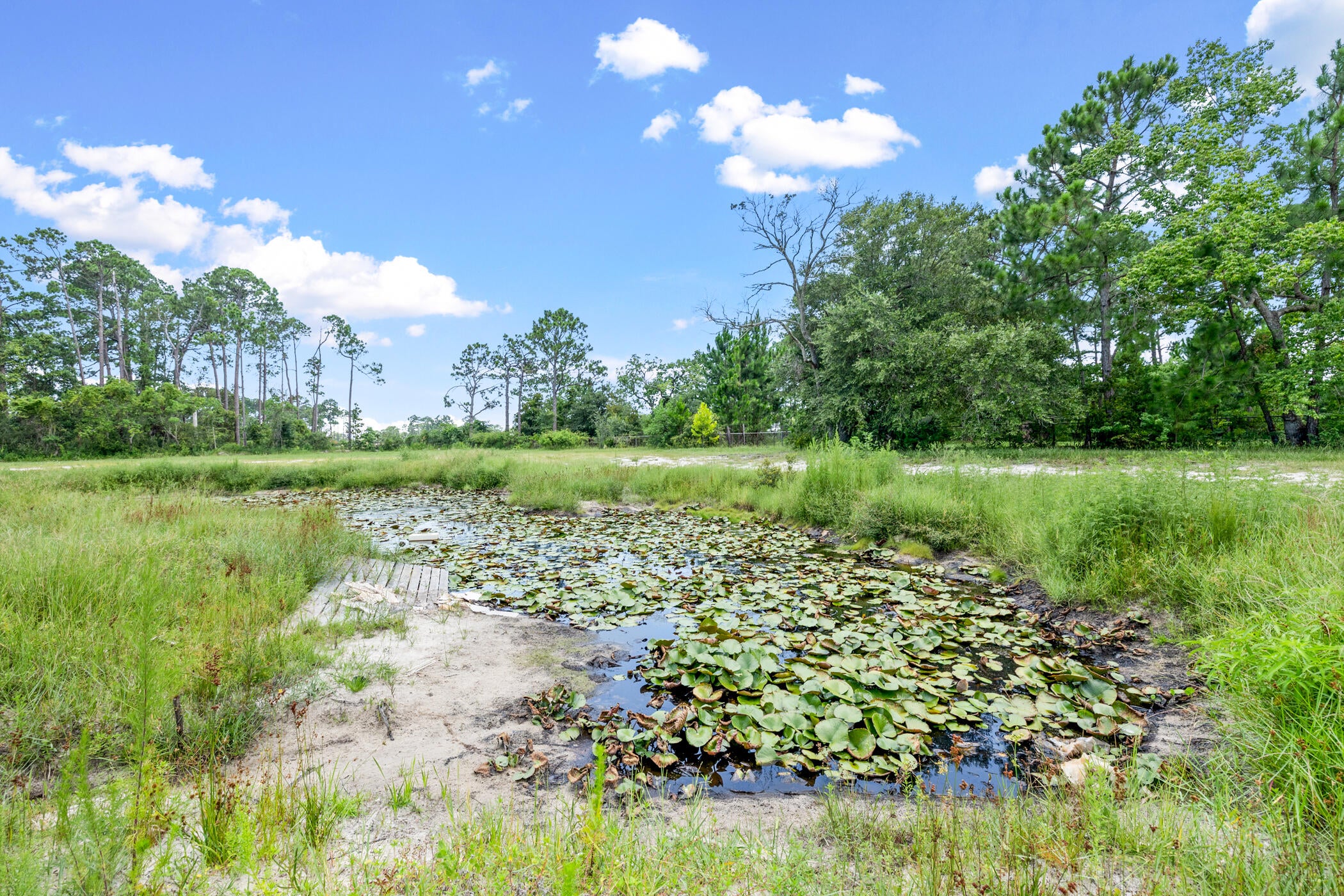 THOMAS DRIVE PARK UNIT 2 - Land