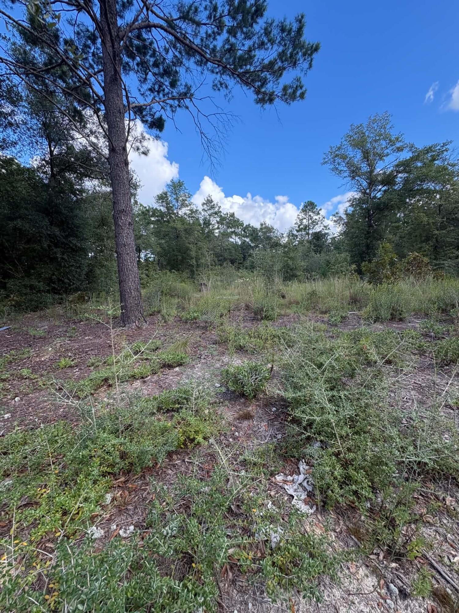 OAKWOOD LAKES ESTATES - Land