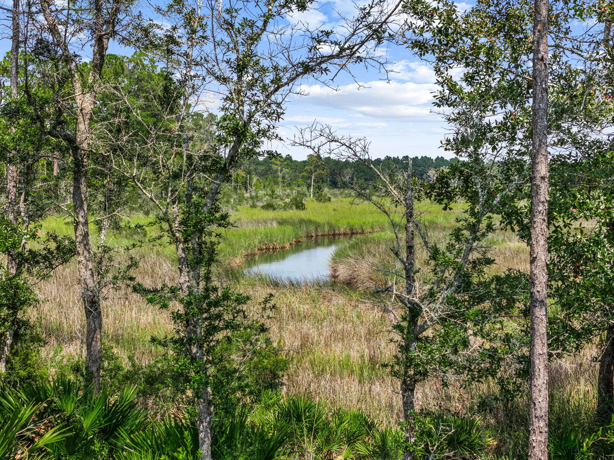 HAMMOCK BAY - STARBURST - Residential