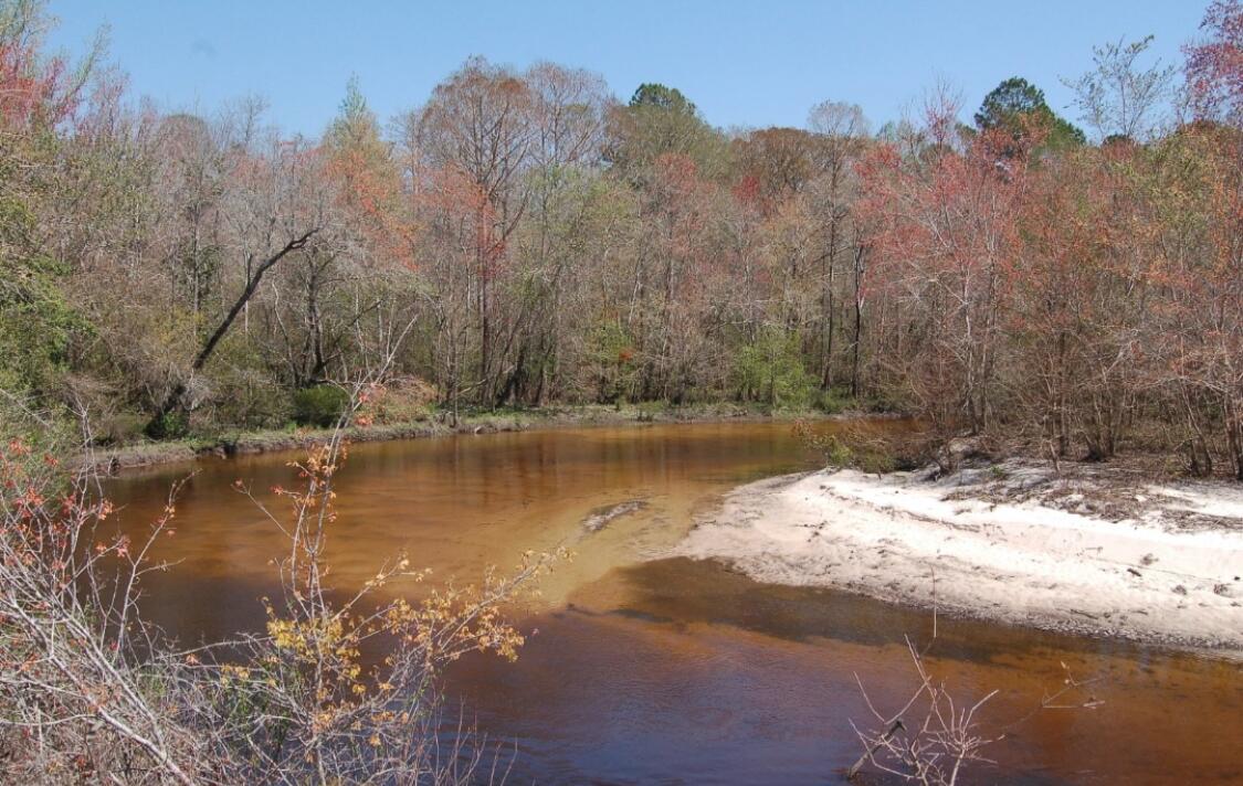 SHOAL RIVER PLANTATION UNREC S/D - Land