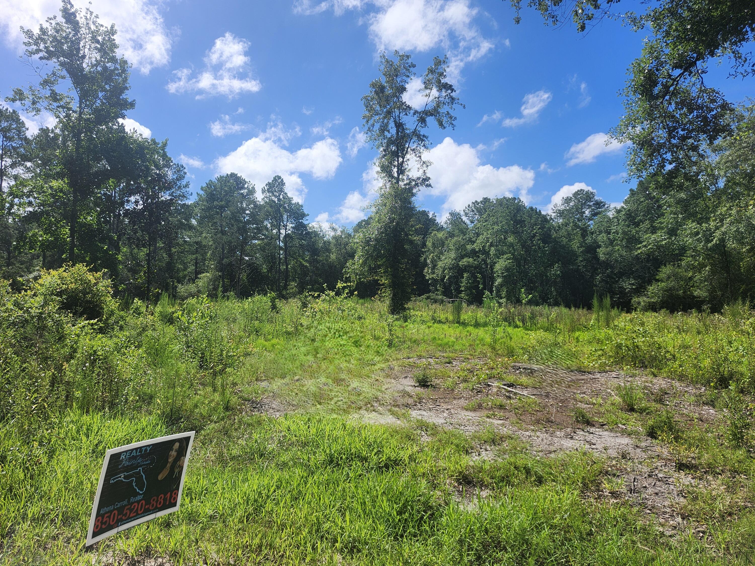 SHOAL RIVER PLANTATION UNREC S/D - Land
