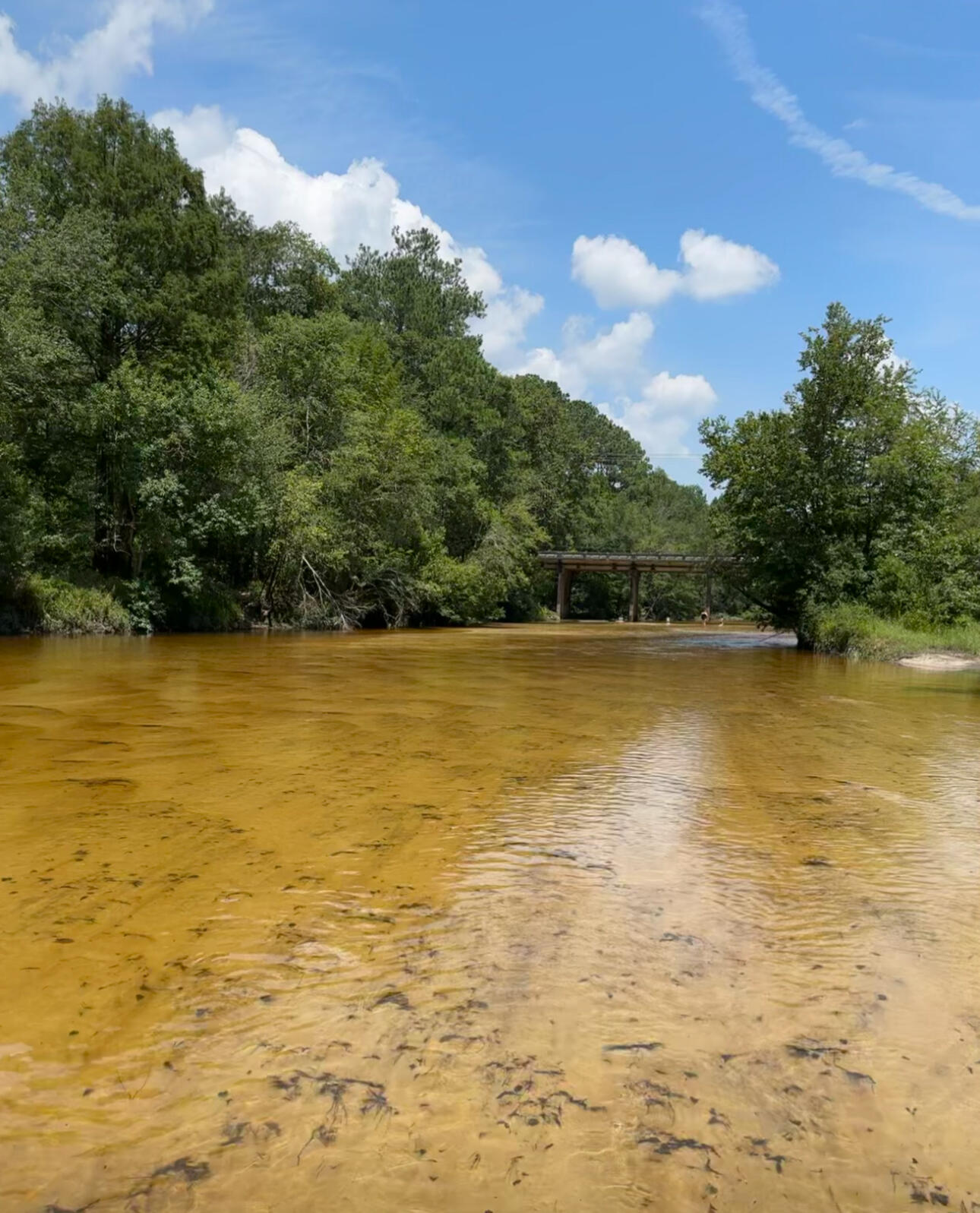 SHOAL RIVER PLANTATION UNREC S/D - Land